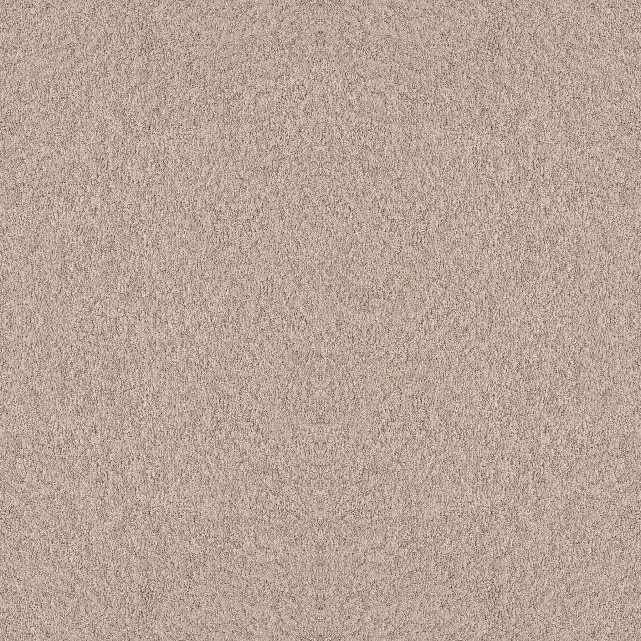 ALLURING CANVAS HEIRLOOM MAIN