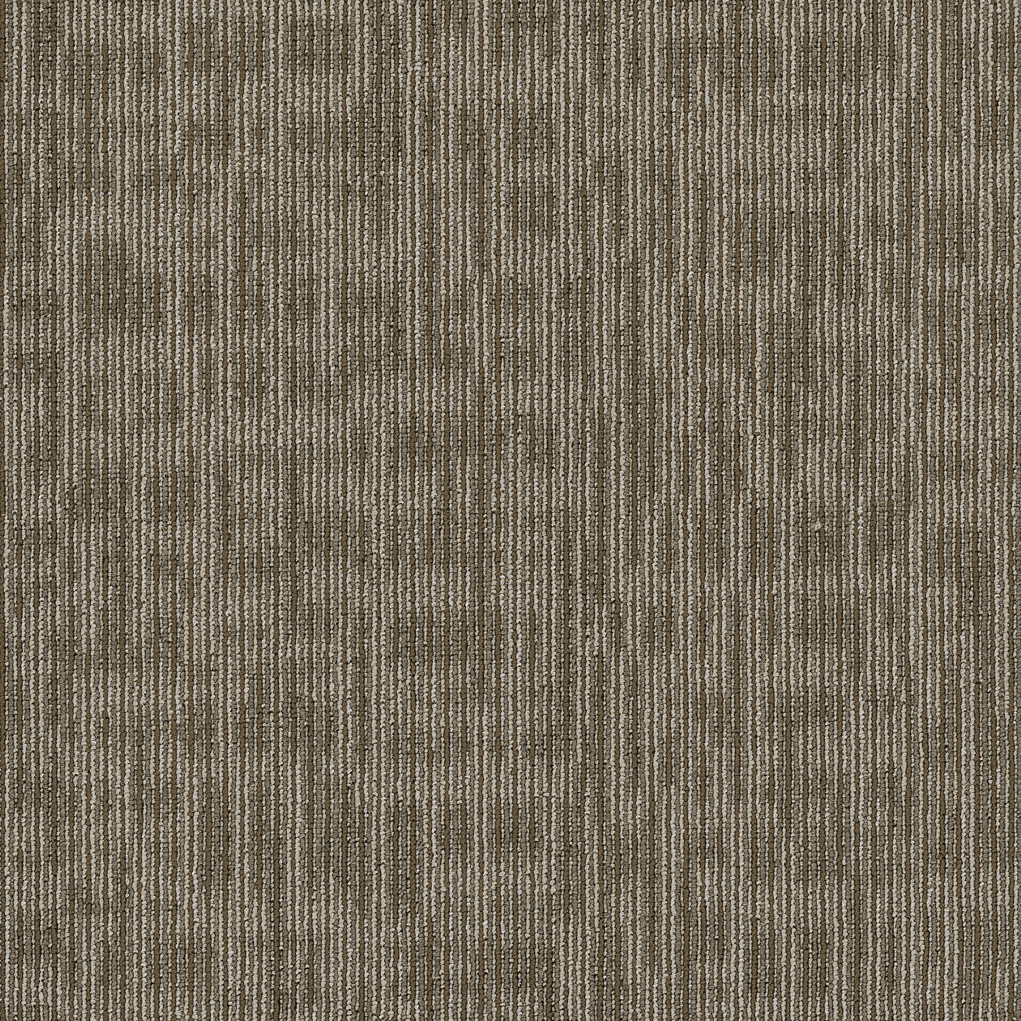 KUDOS-54881-SCHOLARLY-81705-main-image