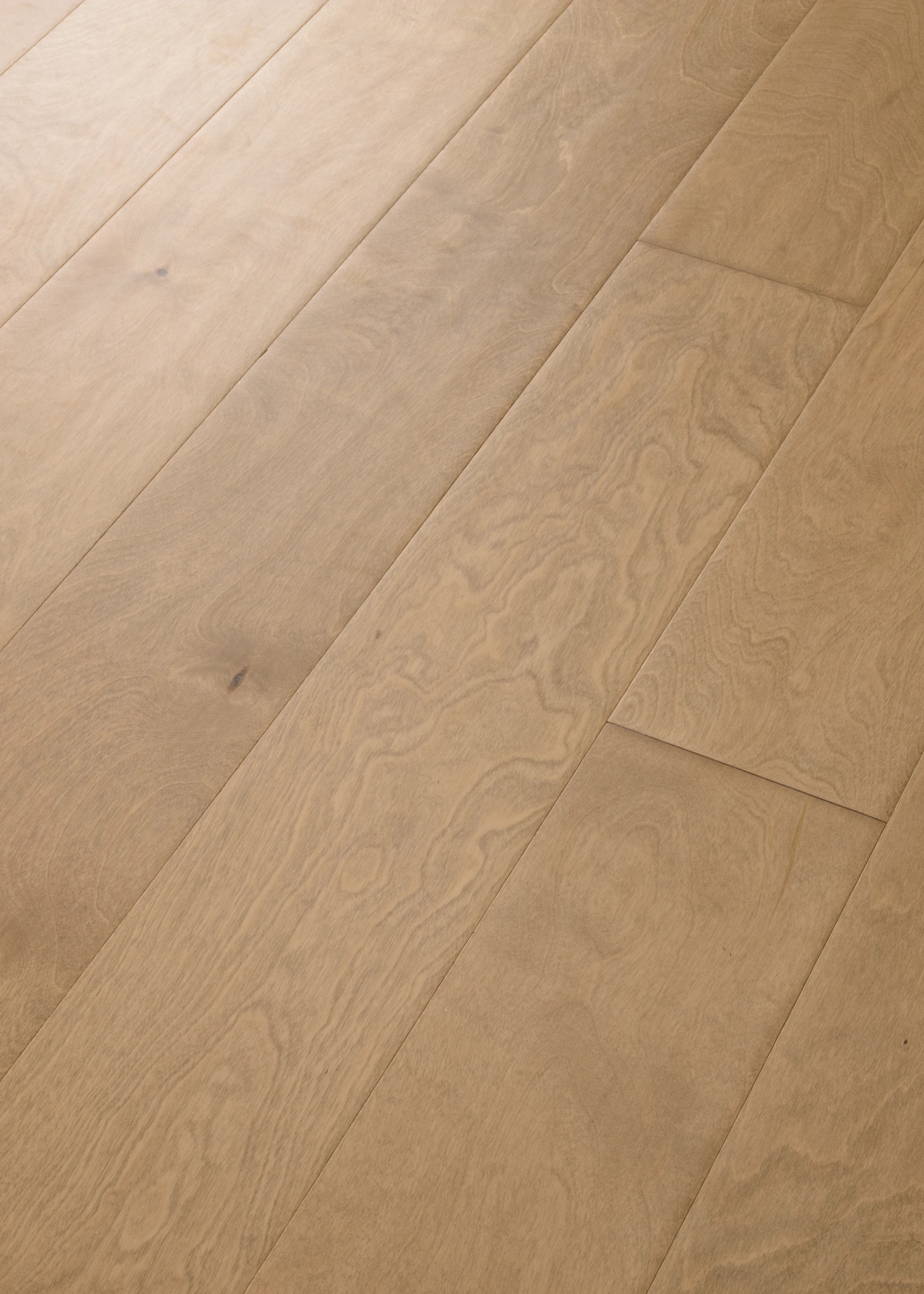 BISCAYNE BAY SEAGRASS ANGLED