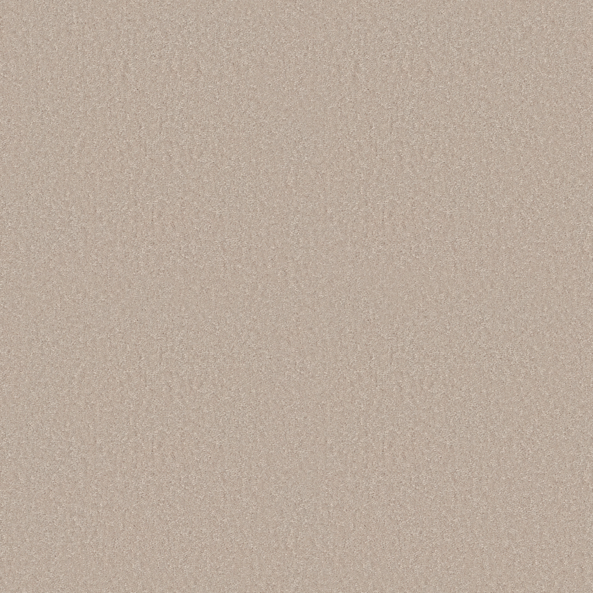 LACONA 15' IVORY TINT MAIN