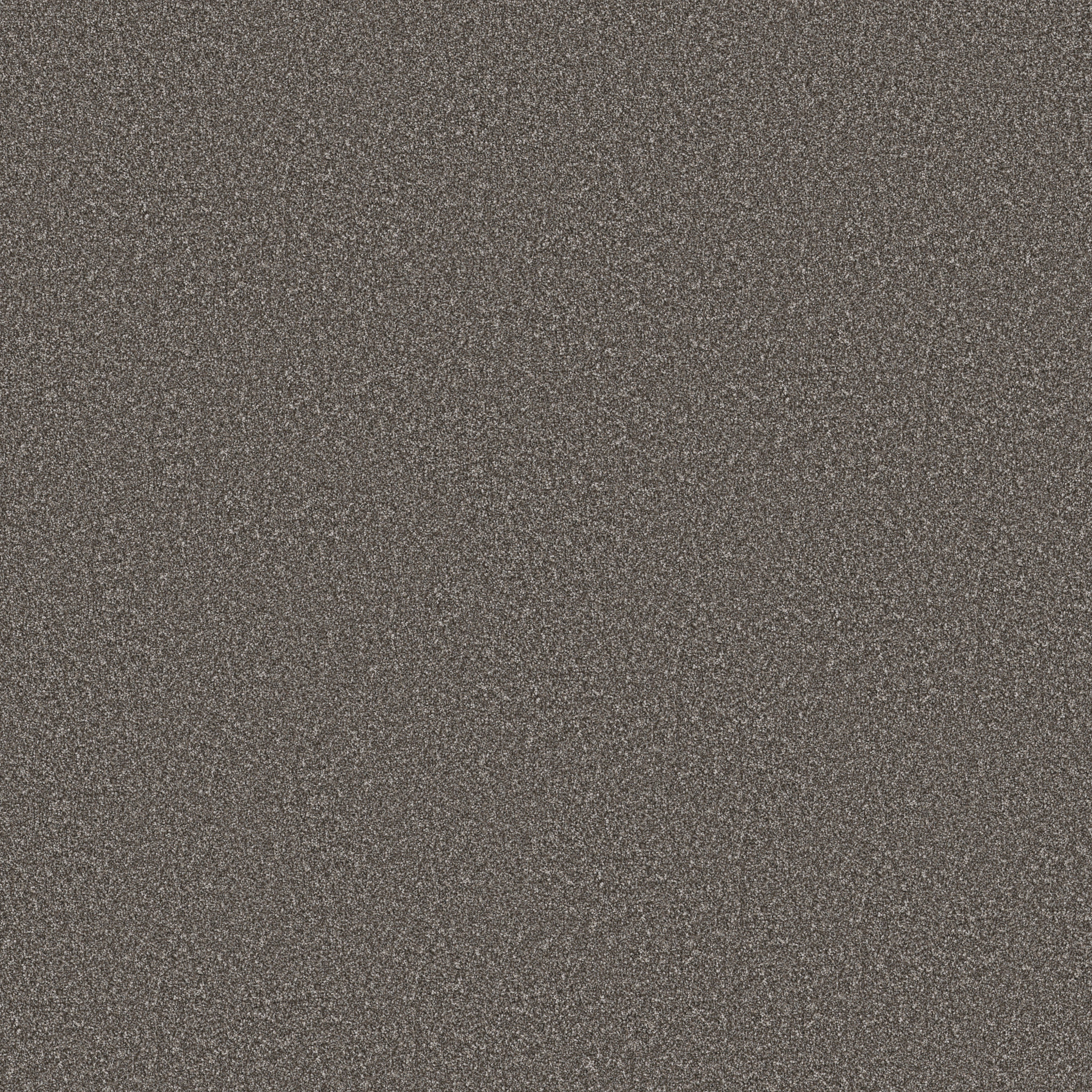 IMAGINABLE I SPARROW MAIN