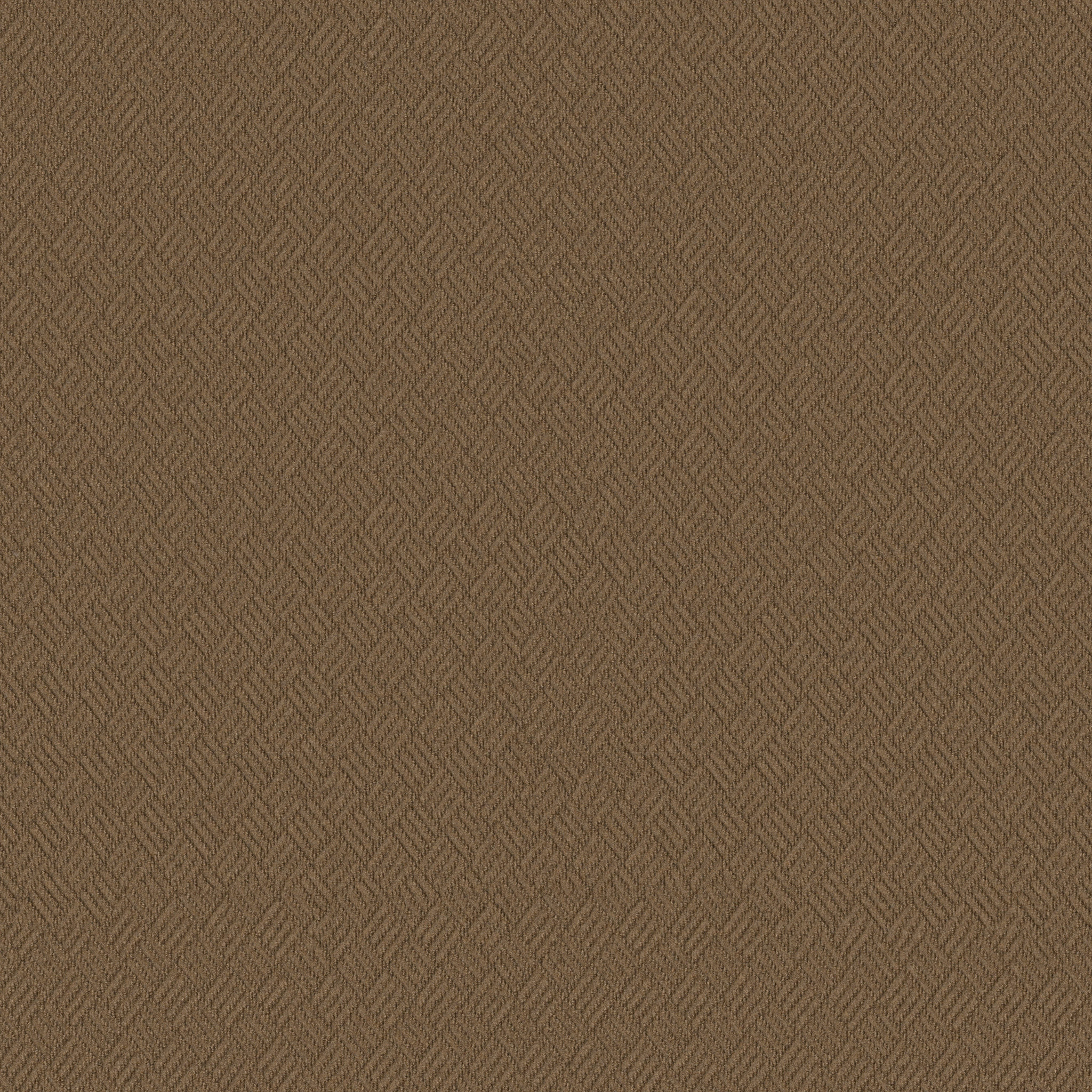 Dreamweaver (54690) Carpet | Philadelphia Commercial