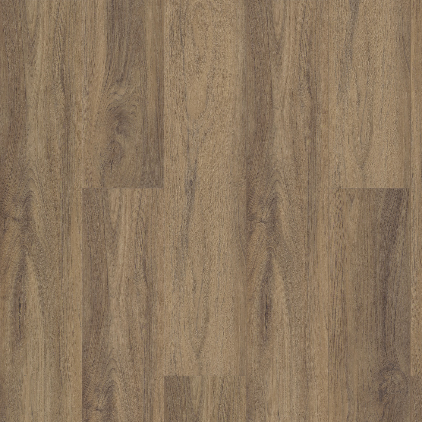 Fiano swatch