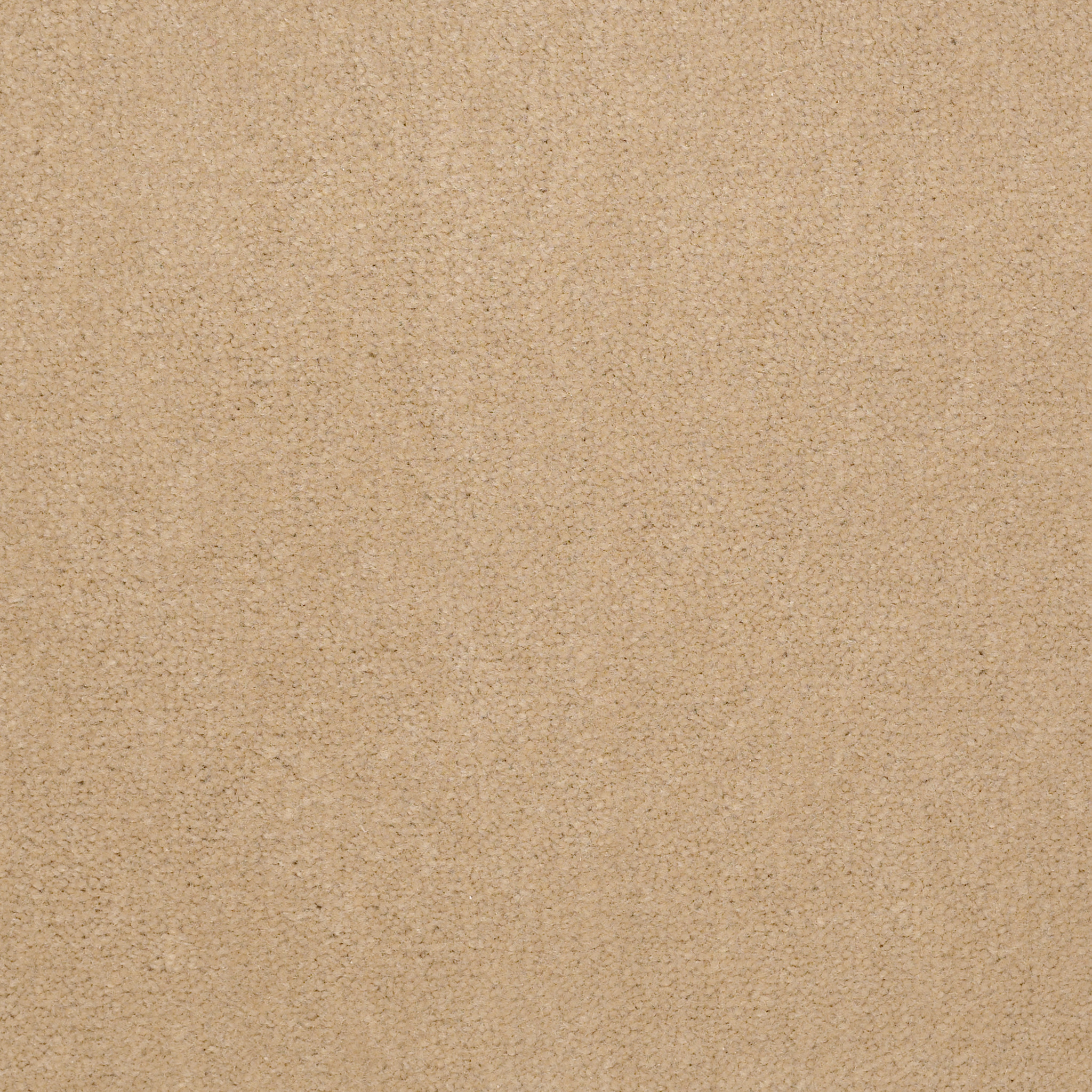 EMPHATIC-II-36-54256-CANDLEWICK-56155-main-image