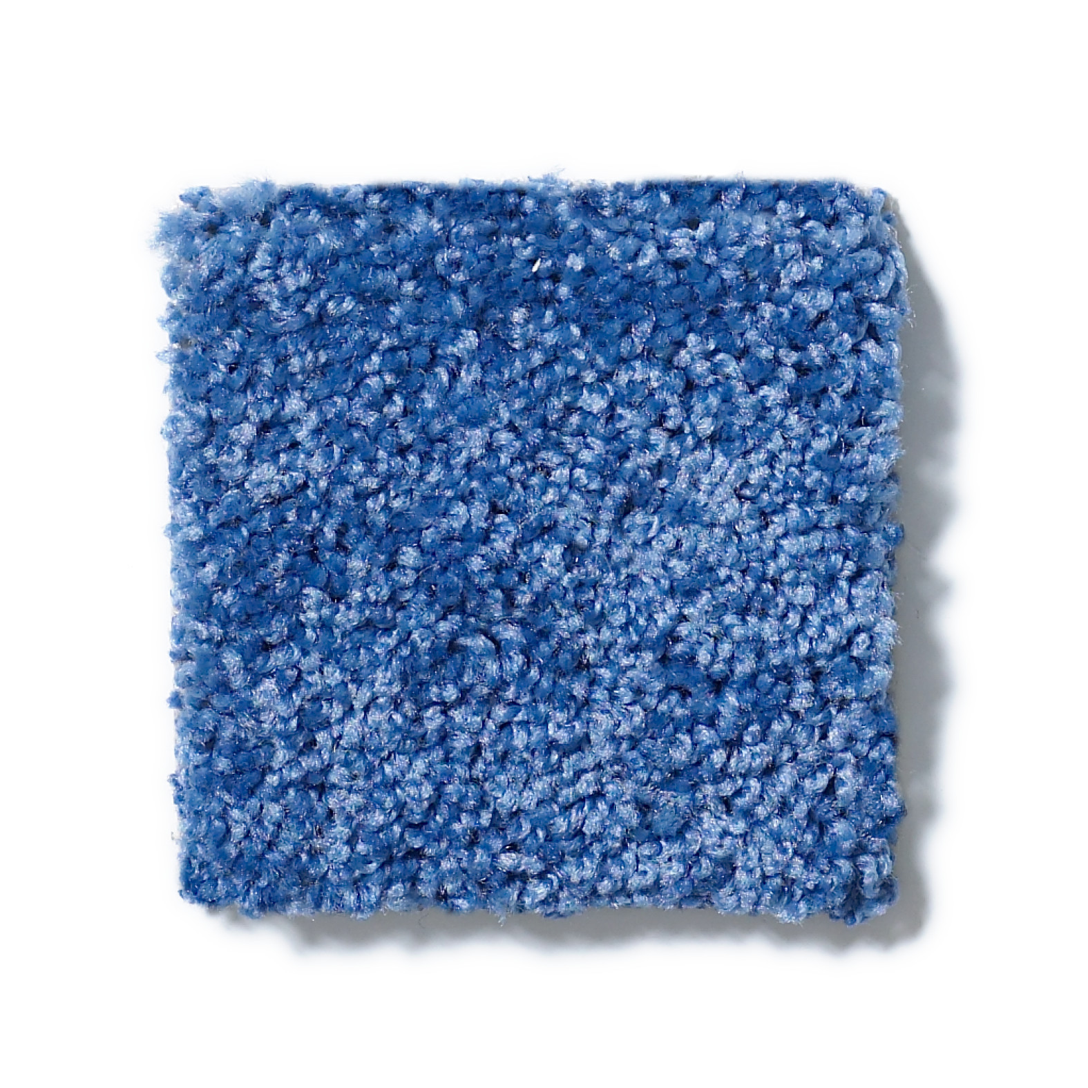 KID CROSSING COBALT VIBE SWATCH