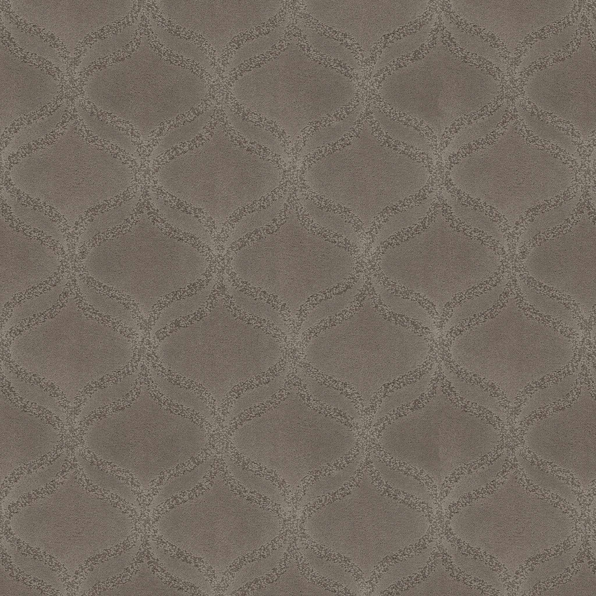 APPRECIATION ARCTIC FROST MAIN