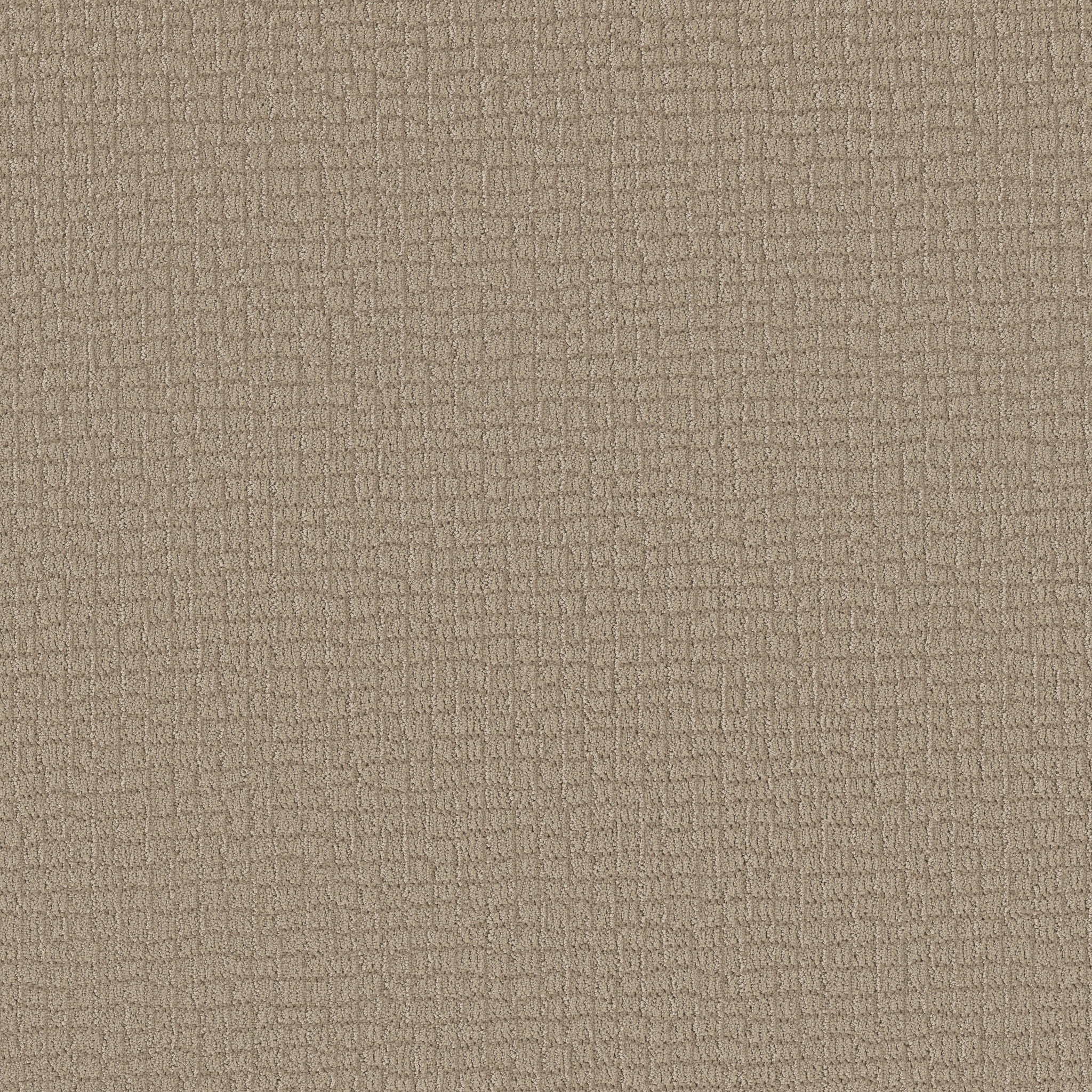 PATH HOME CAMEO MAIN