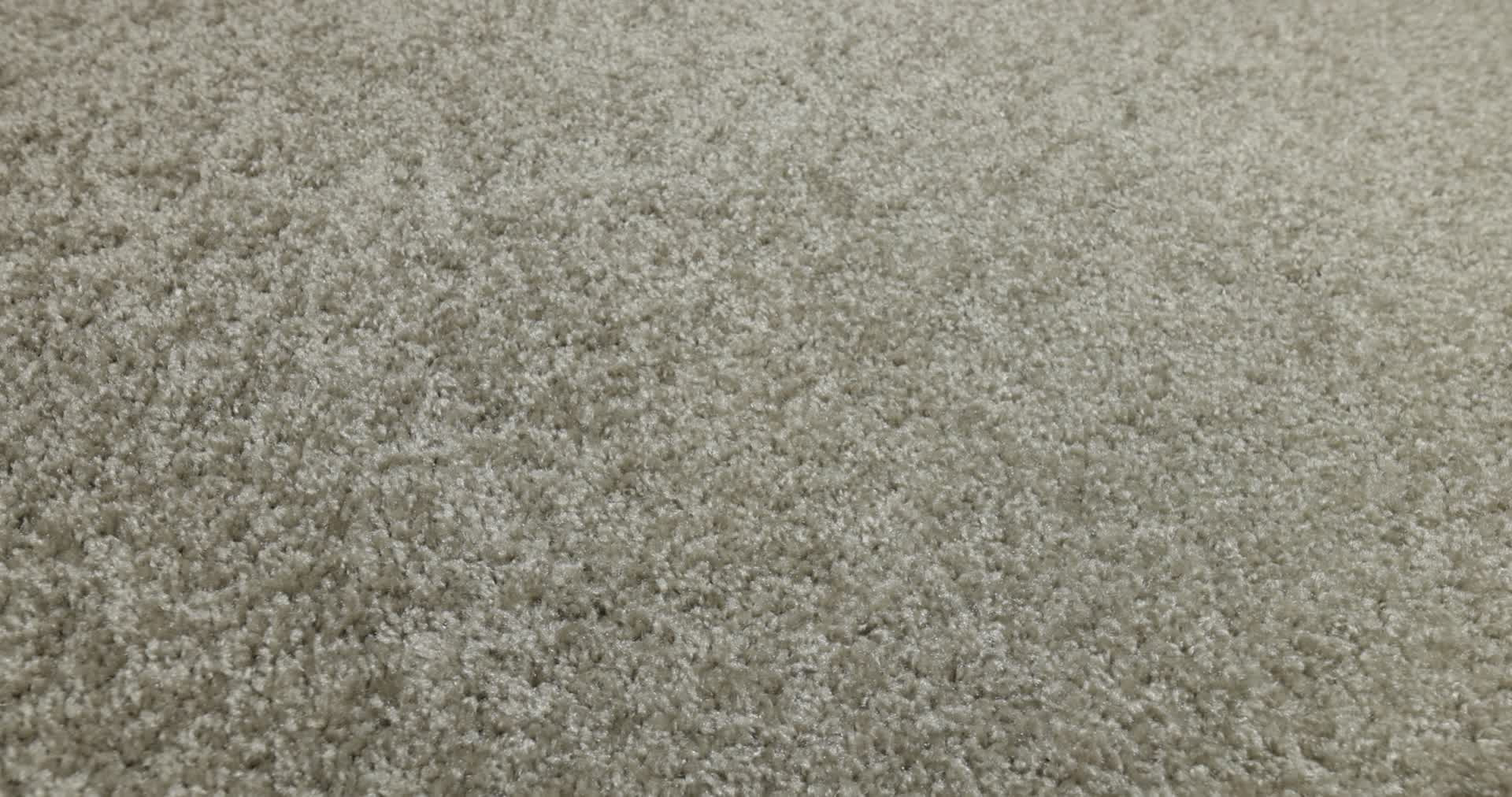 PARLAY HARBOR TOWN 360PROD