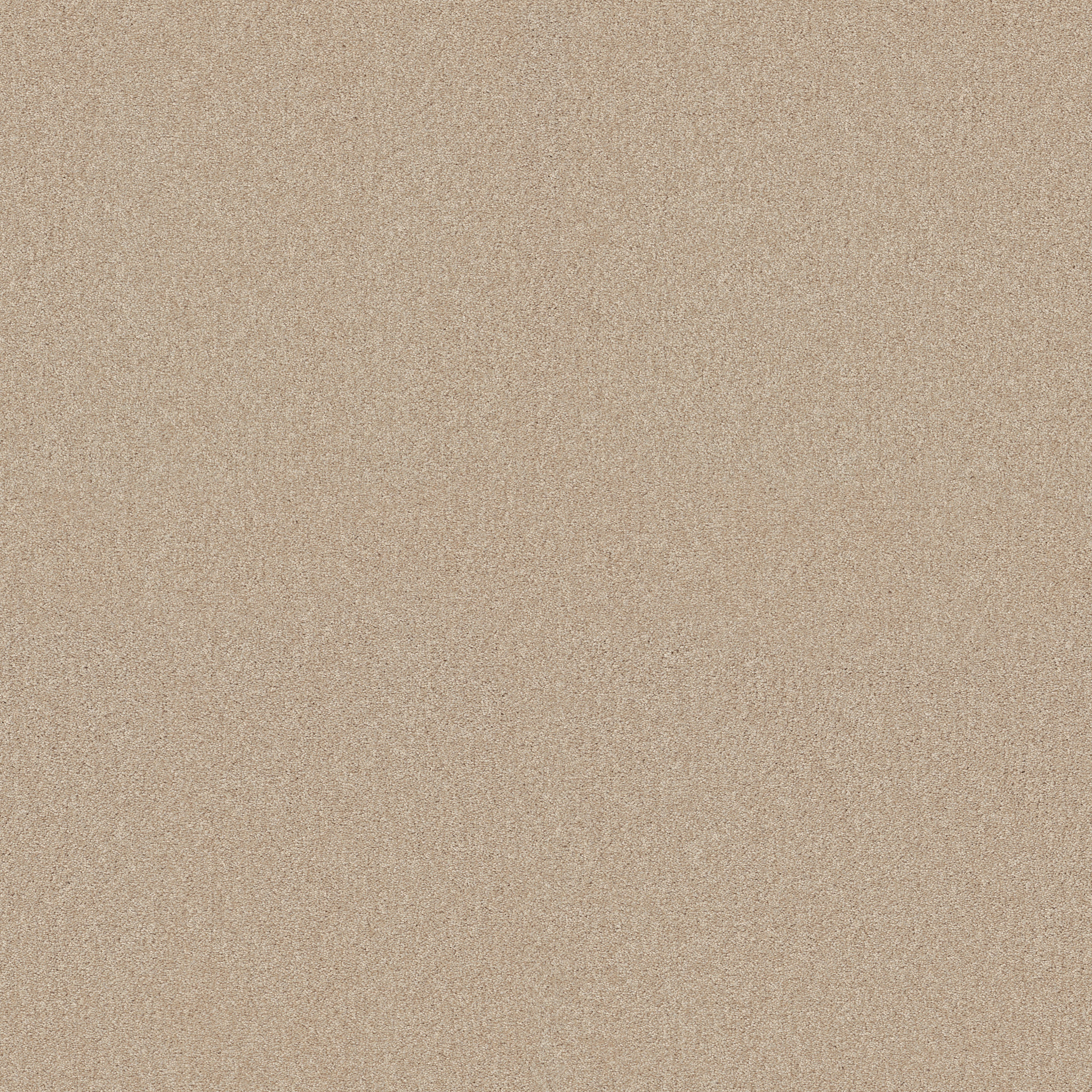 YOUR COMFORT I SUN KISSED MAIN