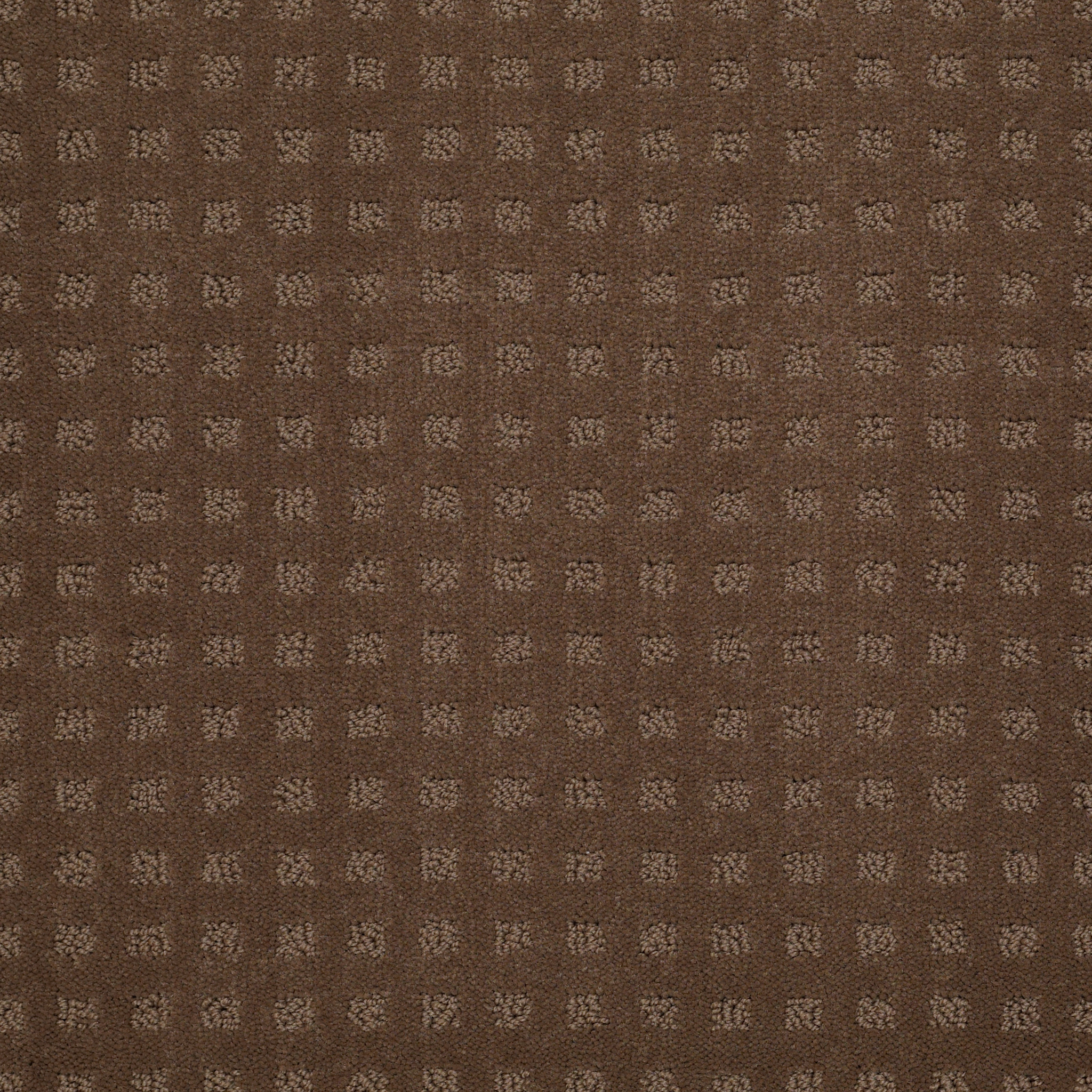 THE FAIR DRIFTWOOD MAIN