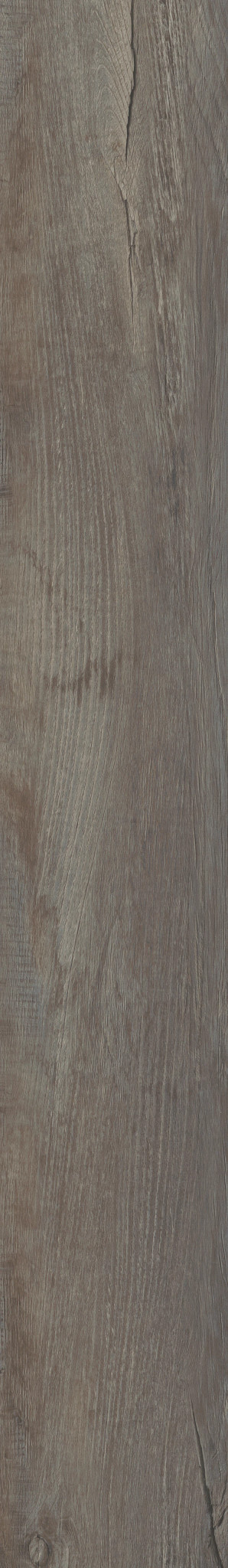 GALVESTON OAK 1TO1