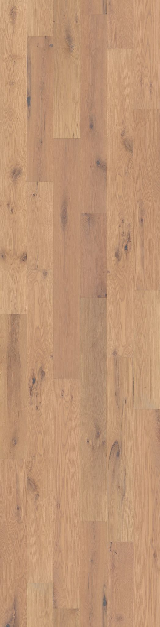Reflections White Oak Engineered Hardwood Flooring in Timber color, 7 inches wide, made from white oak with a water-resistant finish.