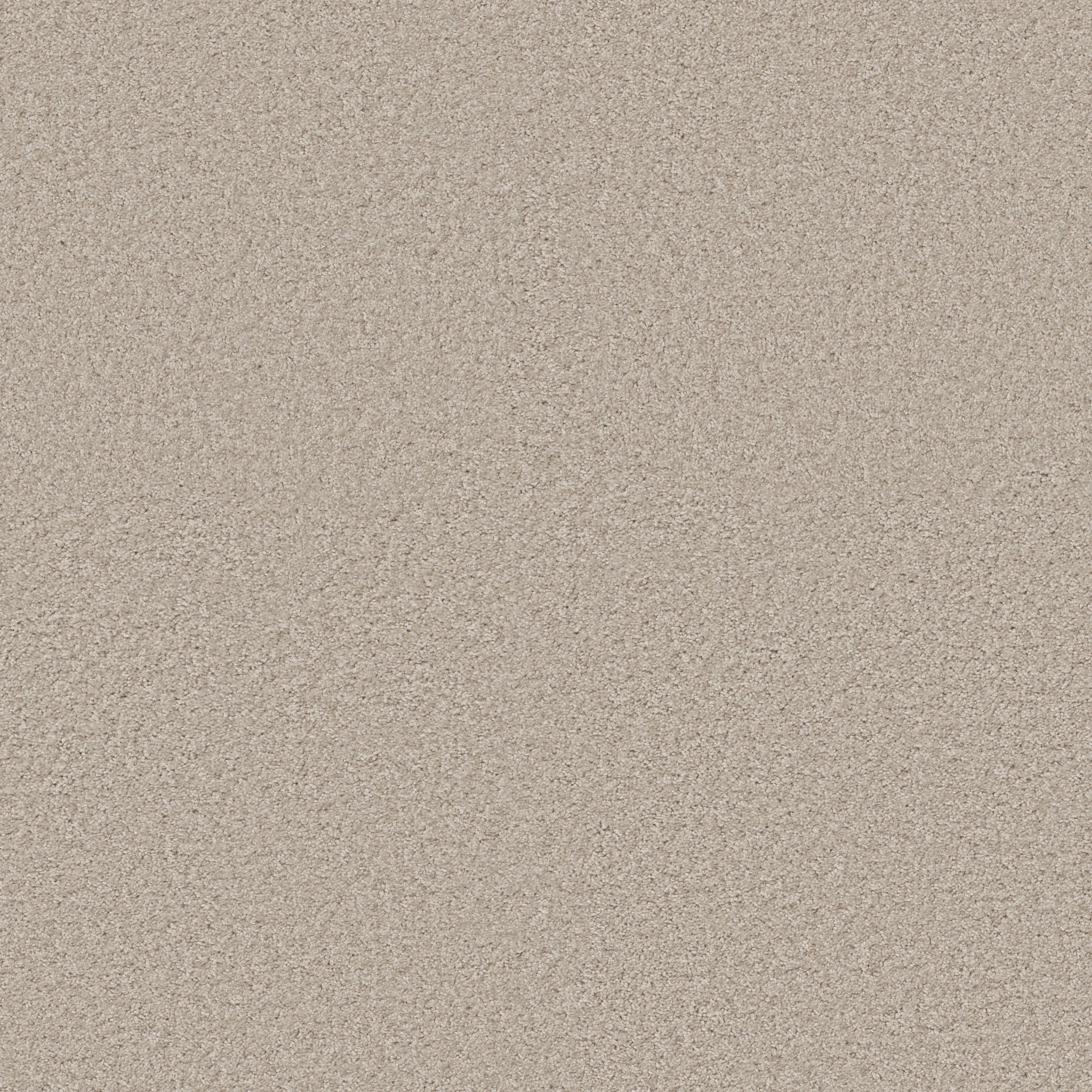 COLESVILLE 12' SAILCLOTH MAIN