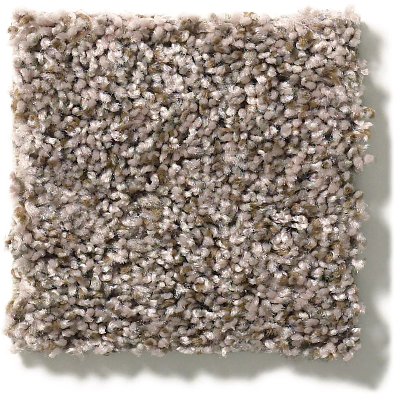 CABANA BAY (B) BROWN REED SWATCH