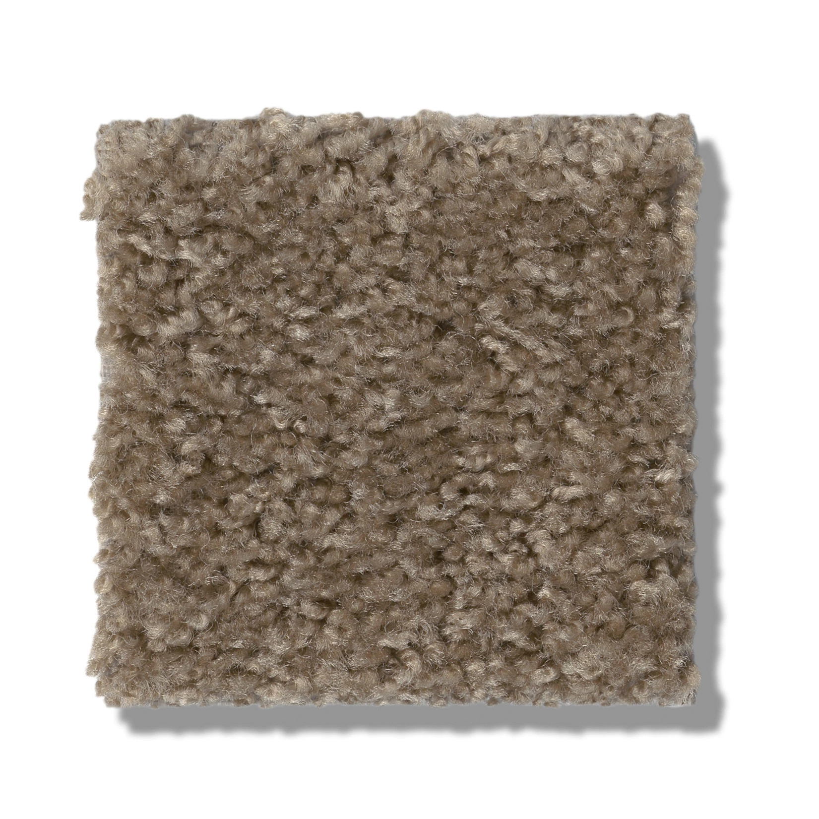 PLAY HARD MOCHA FROTH SWATCH