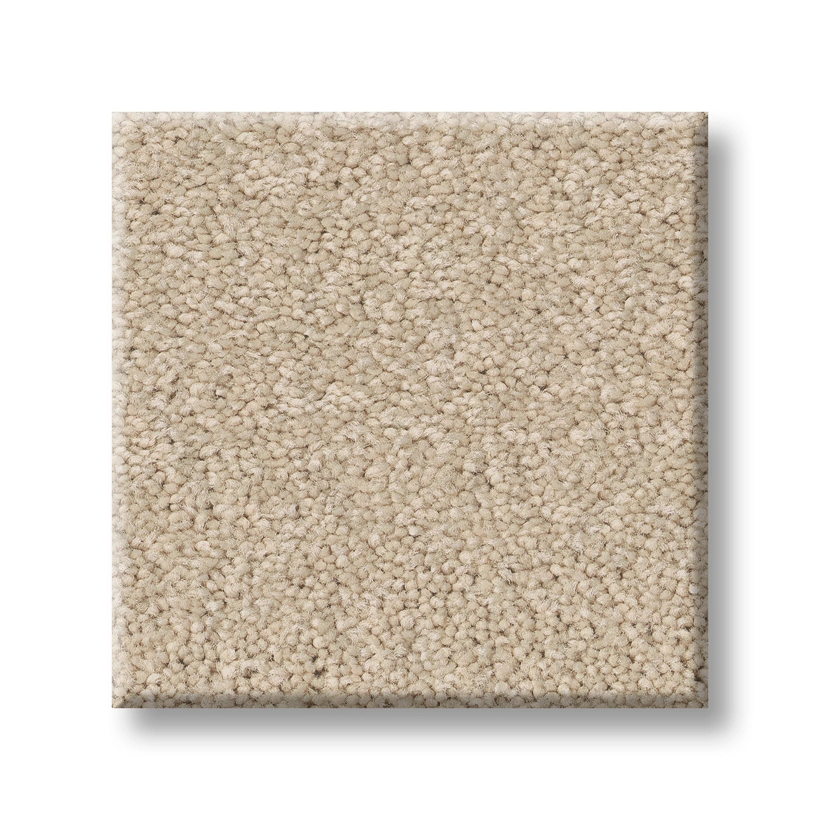 TIMELESS APPEAL III 12' PUDDING SWATCH