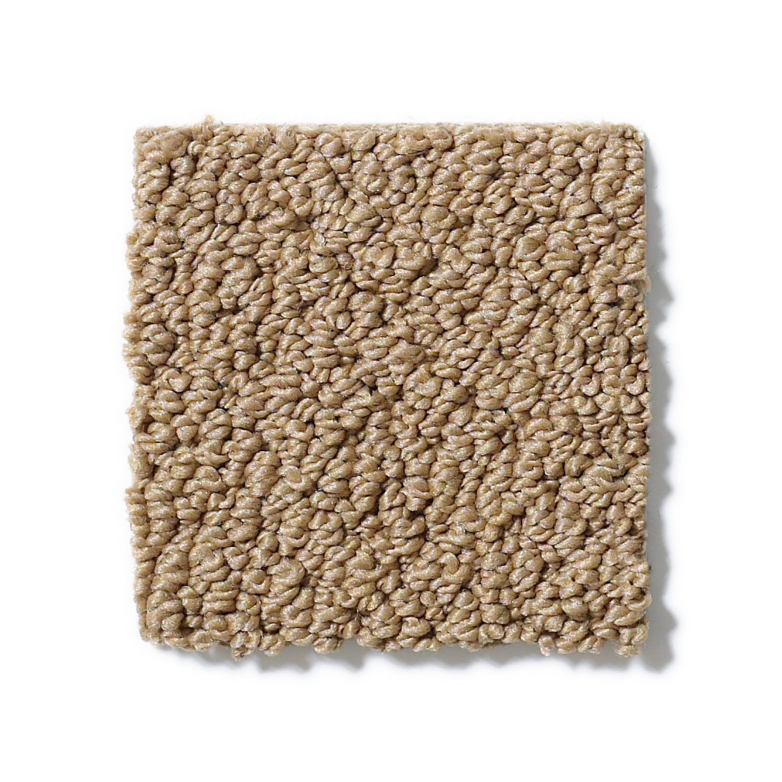 SUPREME COMFORT LOOP HONEY POT SWATCH