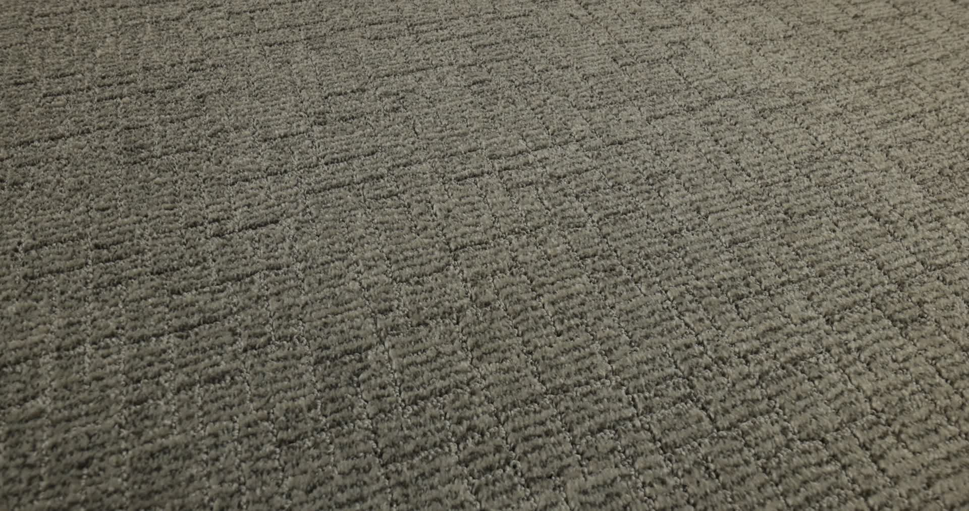 WAYFARER PORTLAND 360PROD