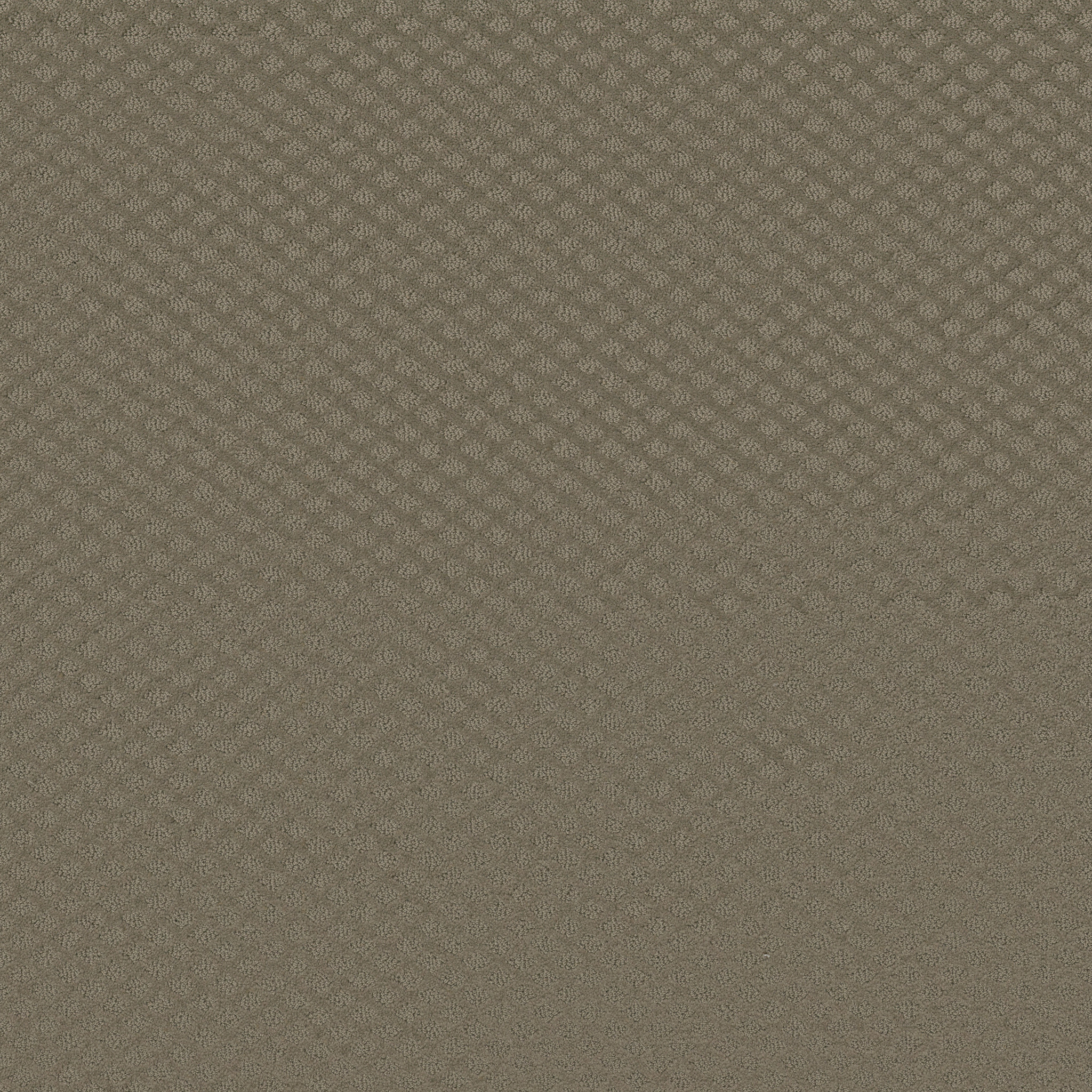 ENTWINED WITH YOU ABBEY STONE MAIN