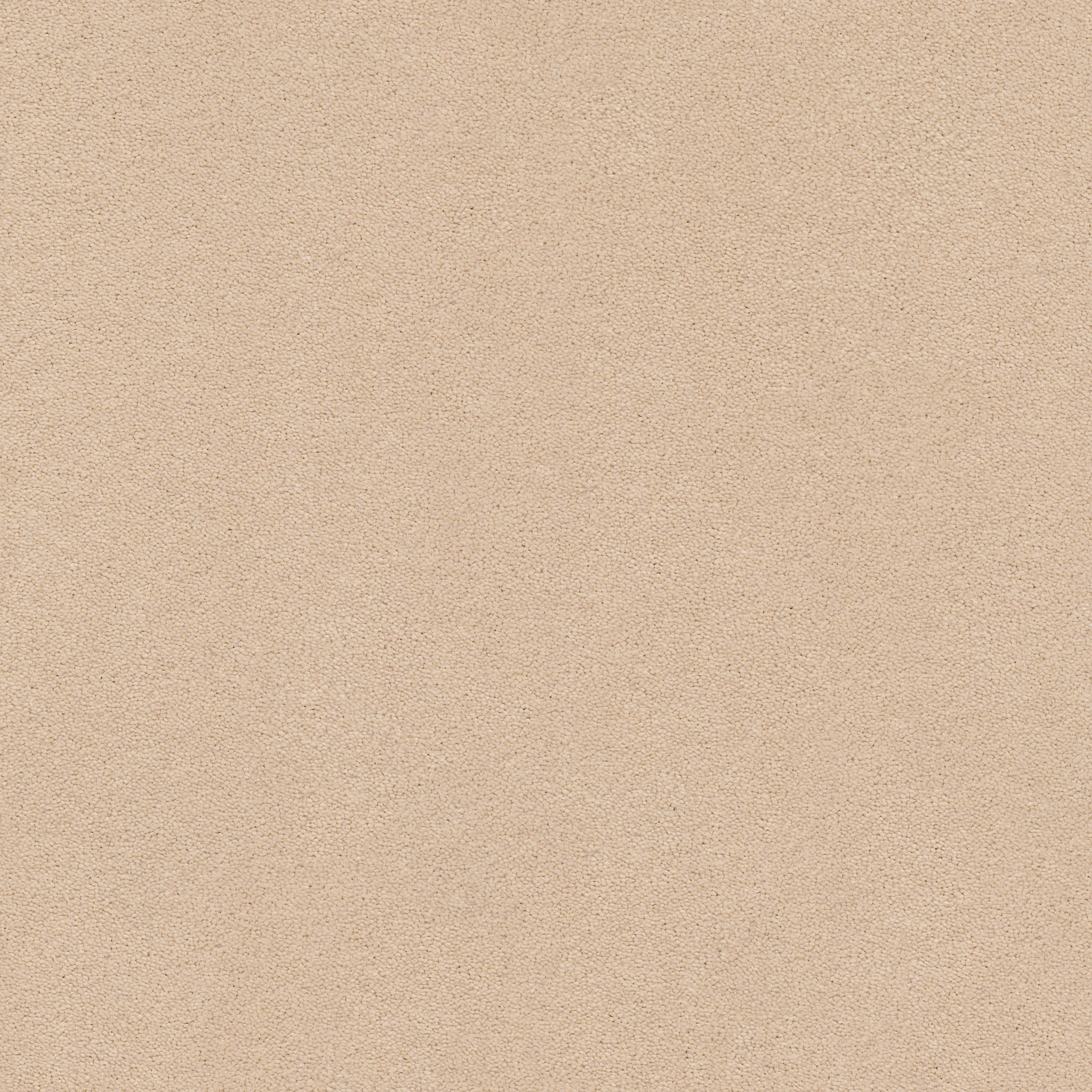 PERFECT CHOICE COCOA SAND MAIN