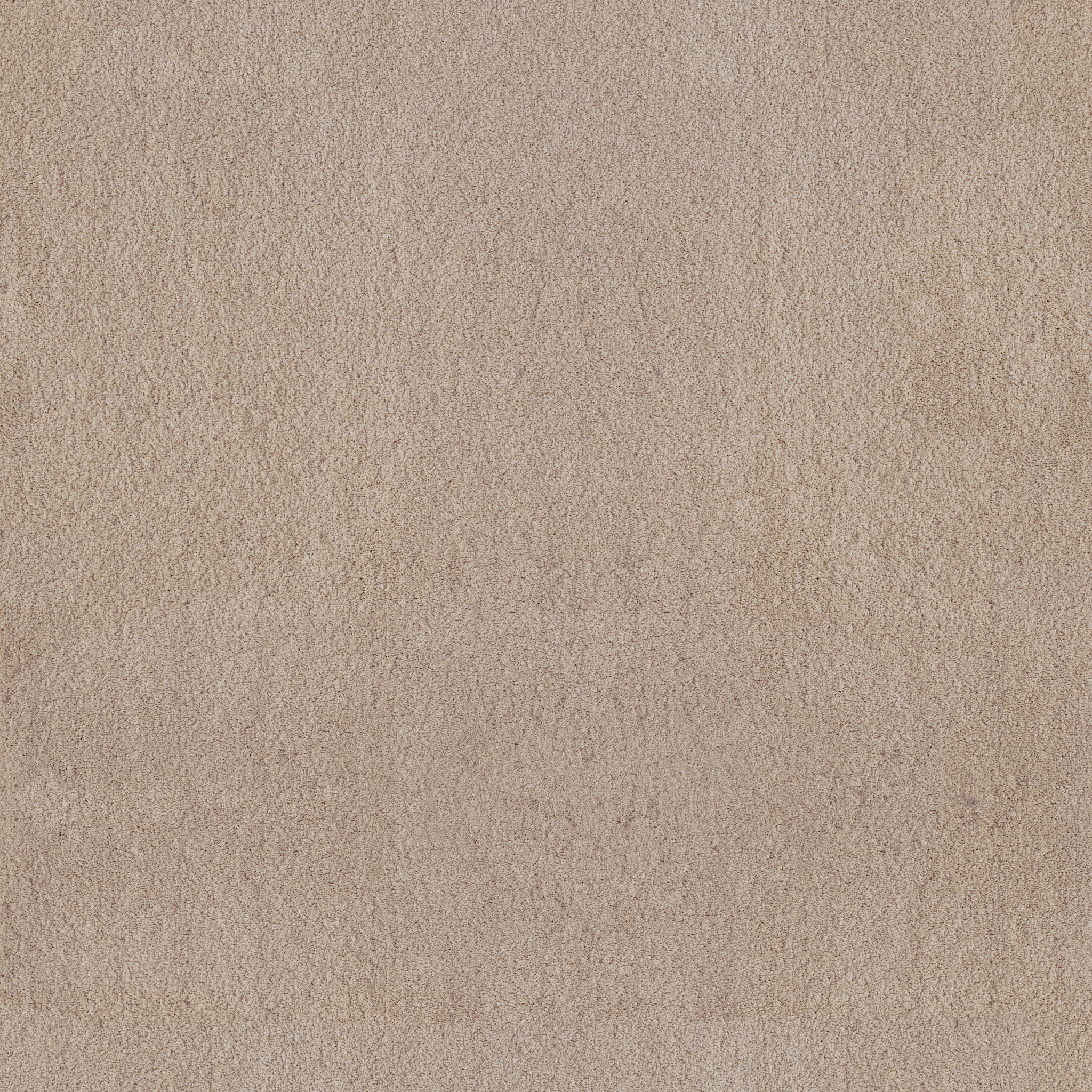 LUXE FEEL II SUEDE MAIN