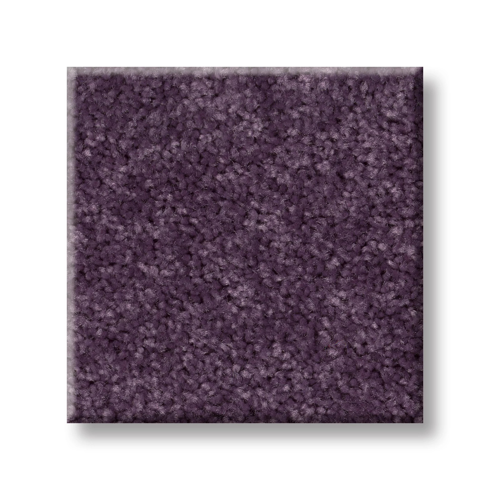 DYERSBURG CLASSIC 12' VIOLET CRUSH SWATCH
