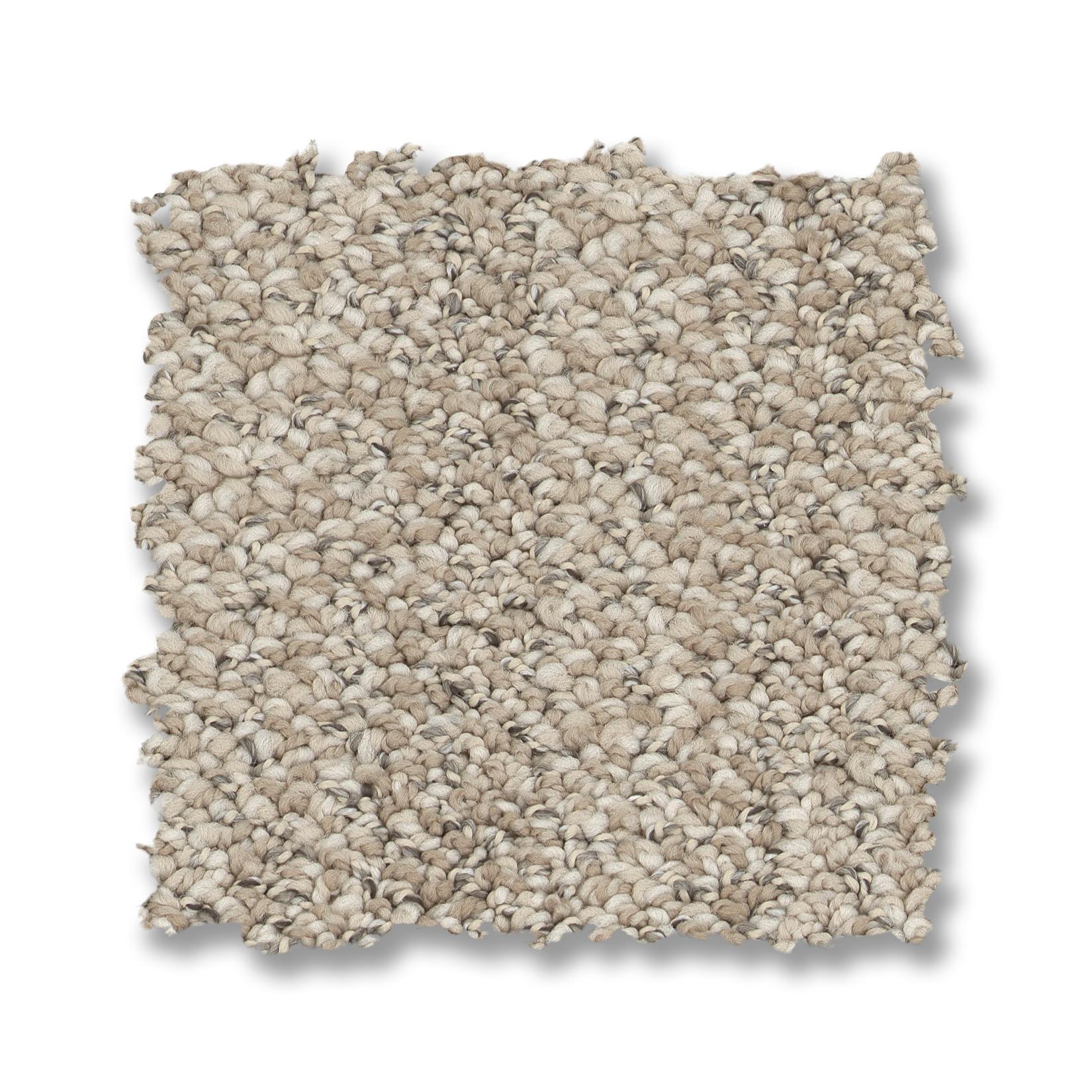 IN TEMPO CANVAS SWATCH