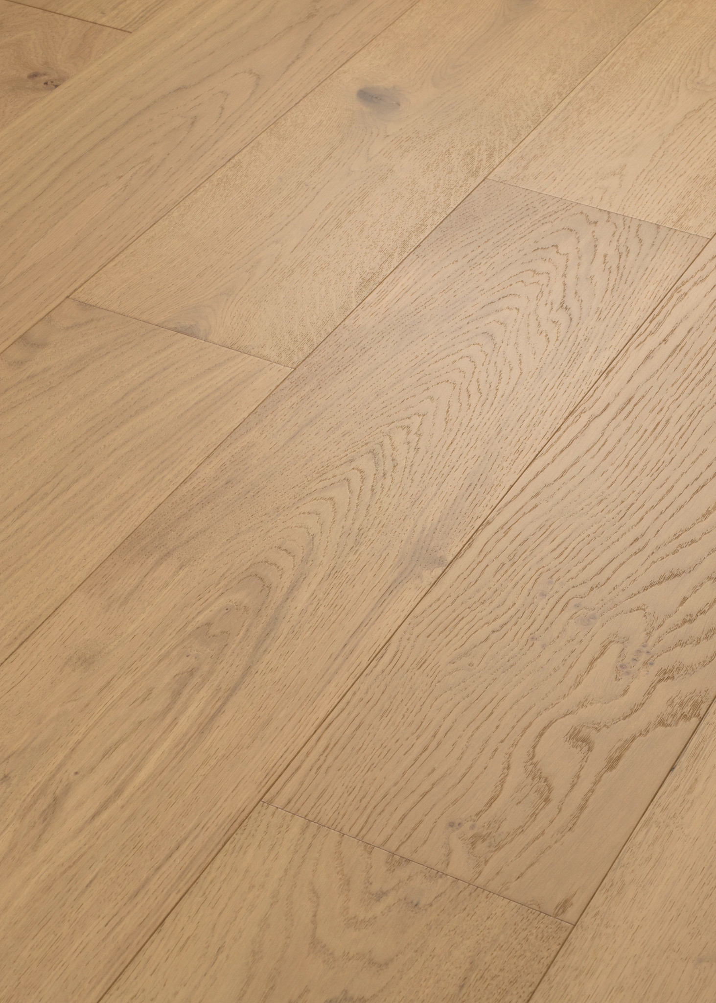 UTMOST ENDEAVOR ANGLED