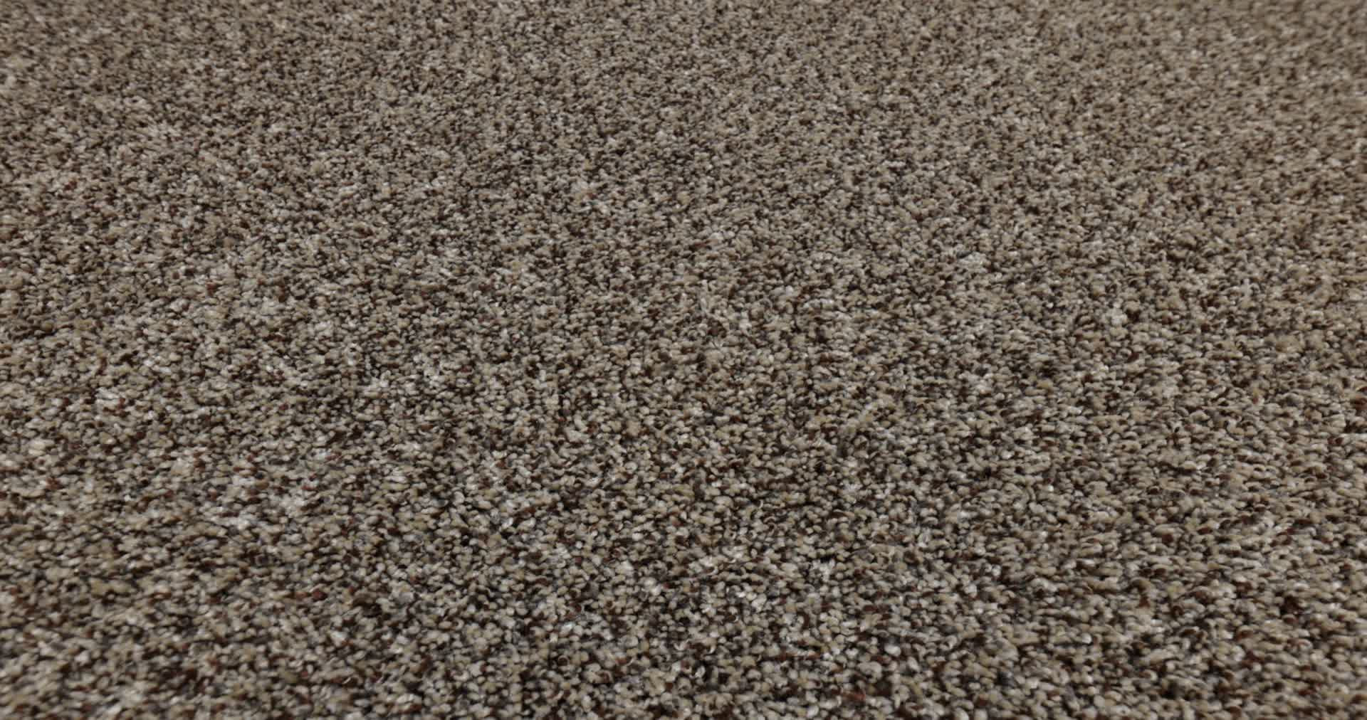 Renewed Energy I FRECKLES 360PROD