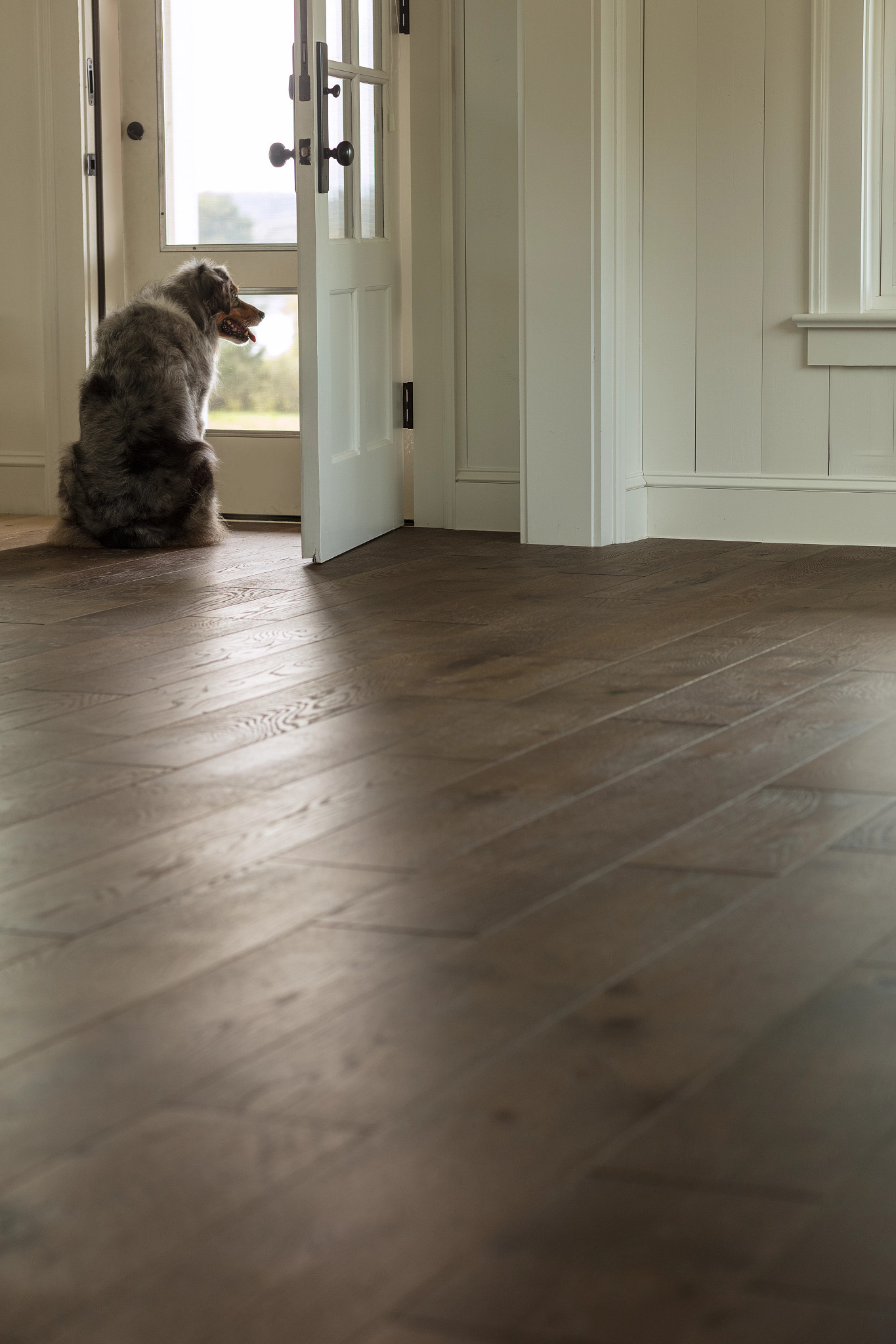 BUCKINGHAM WALES ROOM in room