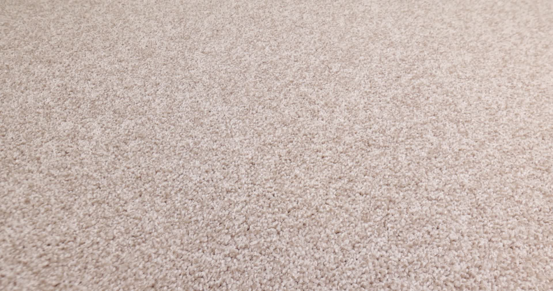 AG True Delight I SWEET SURPRISE 360PROD