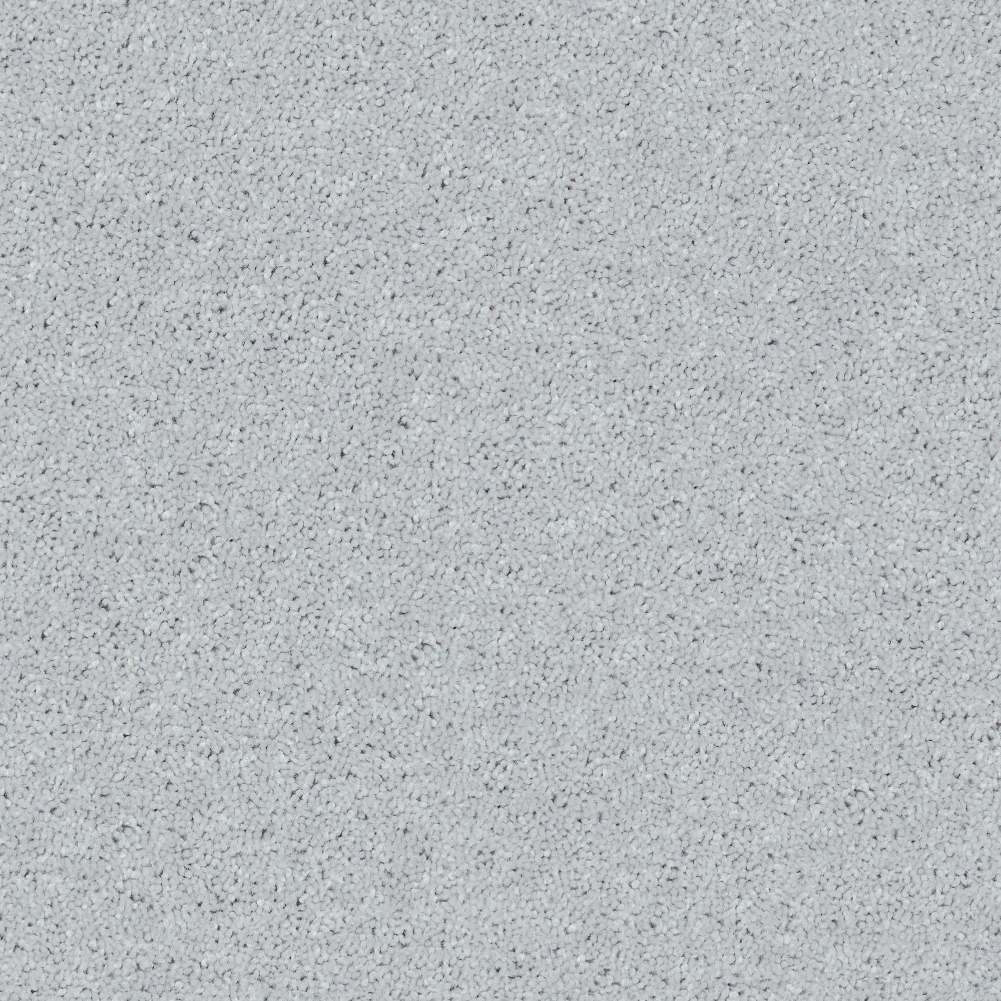 POINT GUARD 15' DOVE MAIN