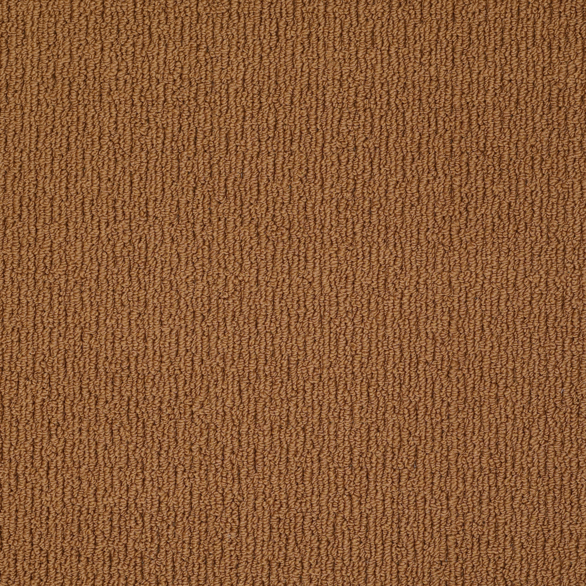 CASUAL MOOD SUN BAKED MAIN