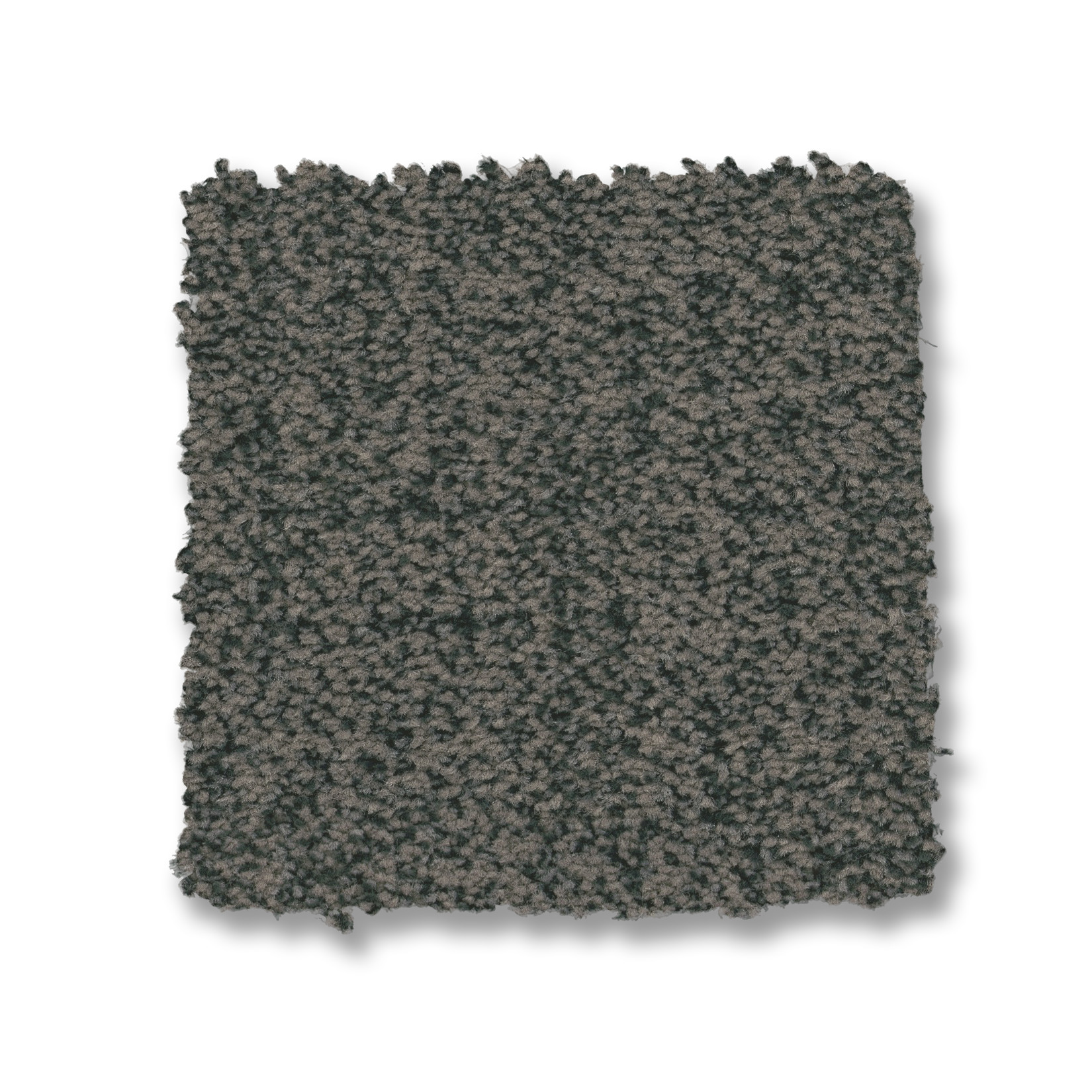 SILHOUETTE PEACOCK SWATCH