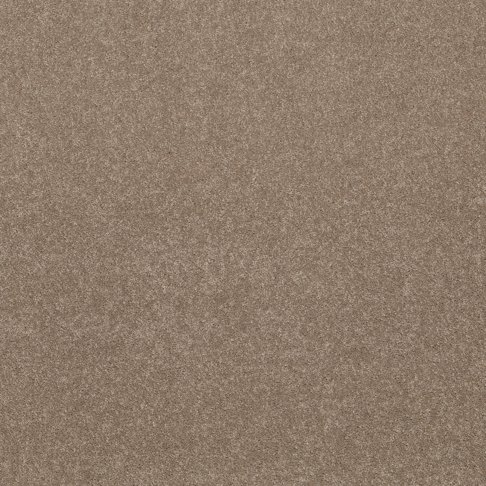 SMOOTH TALK II WARM WOOD MAIN