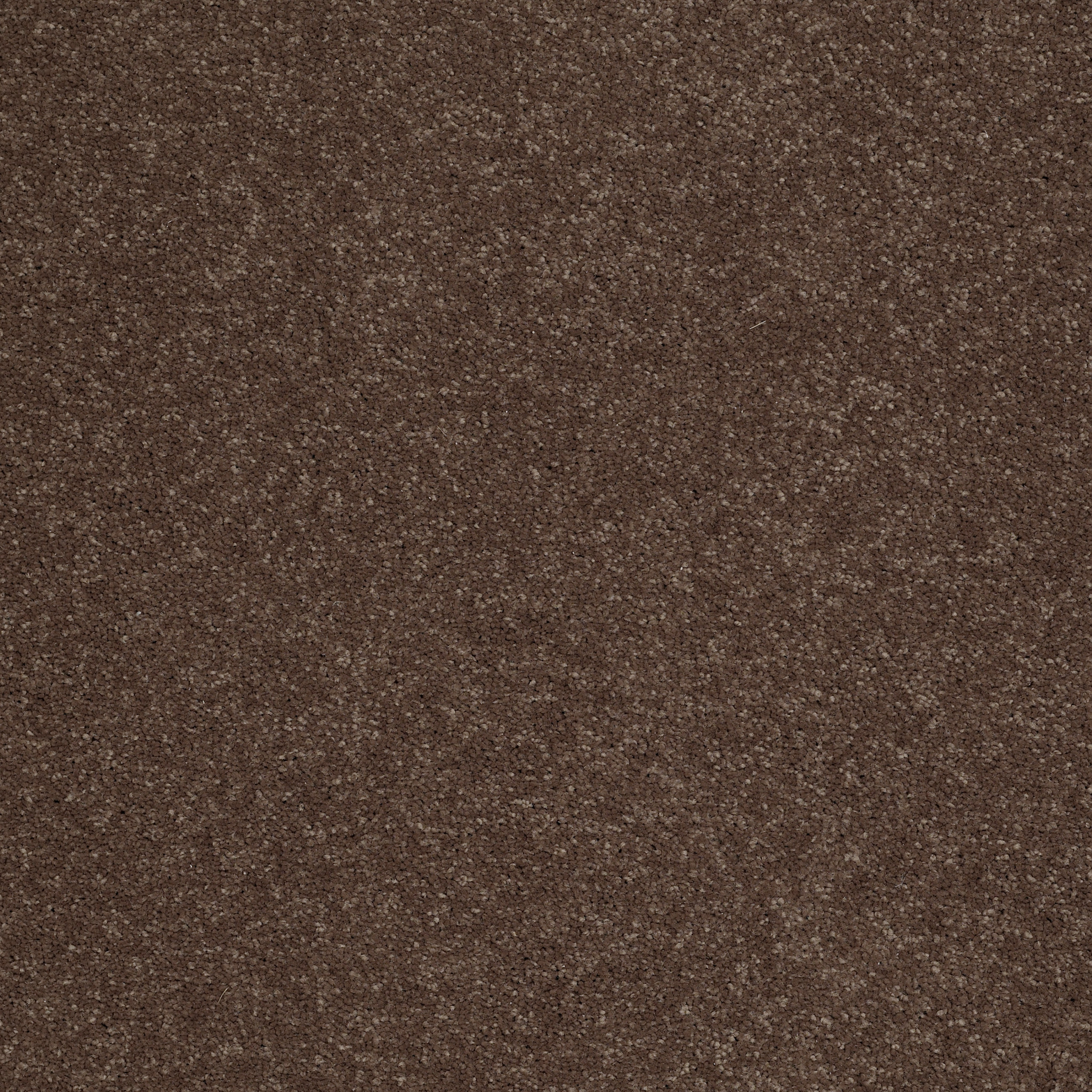 SANDY HOLLOW CLASSIC II 12 WOODEN BOX MAIN