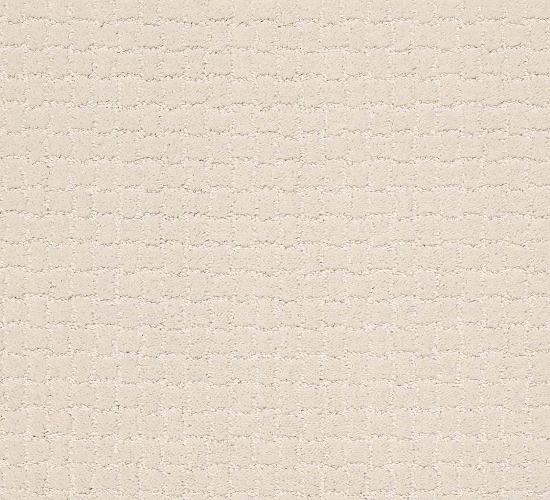 Pawstruck Broadloom Carpet in Toffee Cream, 100% Nylon, 12ft wide, cut & loop pattern