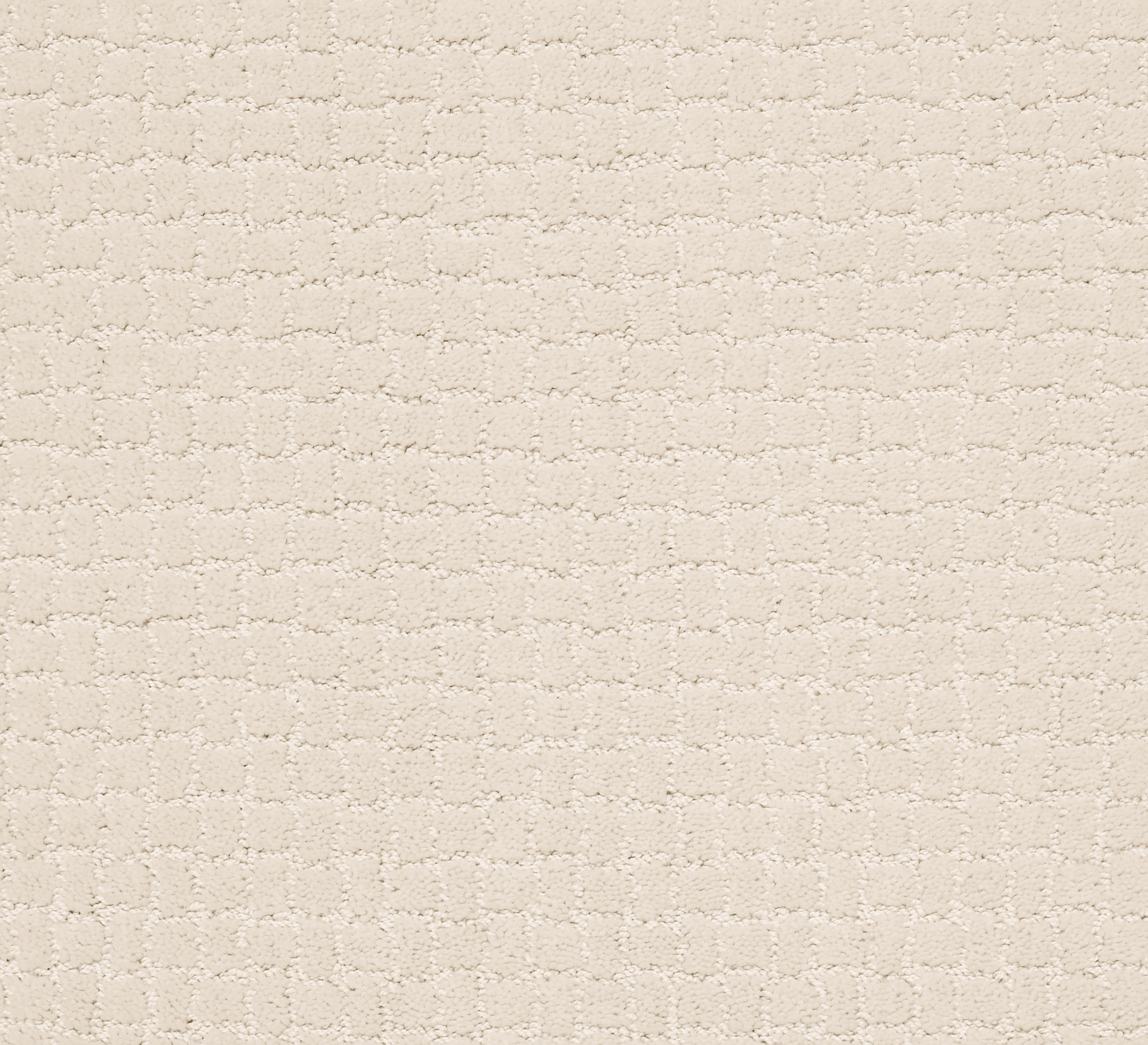Pawstruck - Carpet for Stairs in Barely Beige | AndersonTuftex