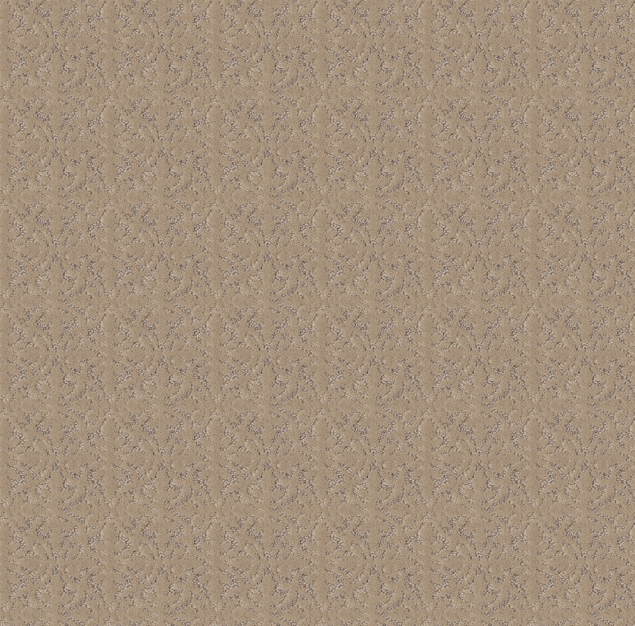 LIGHT IMPRESSIONS WORN PATH MAIN