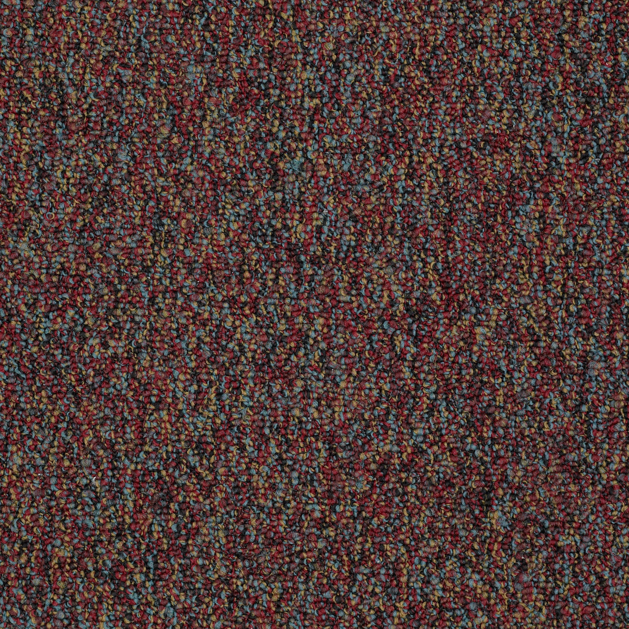 FRANCHISE-II-28-54744-SALSA-00800-main-image