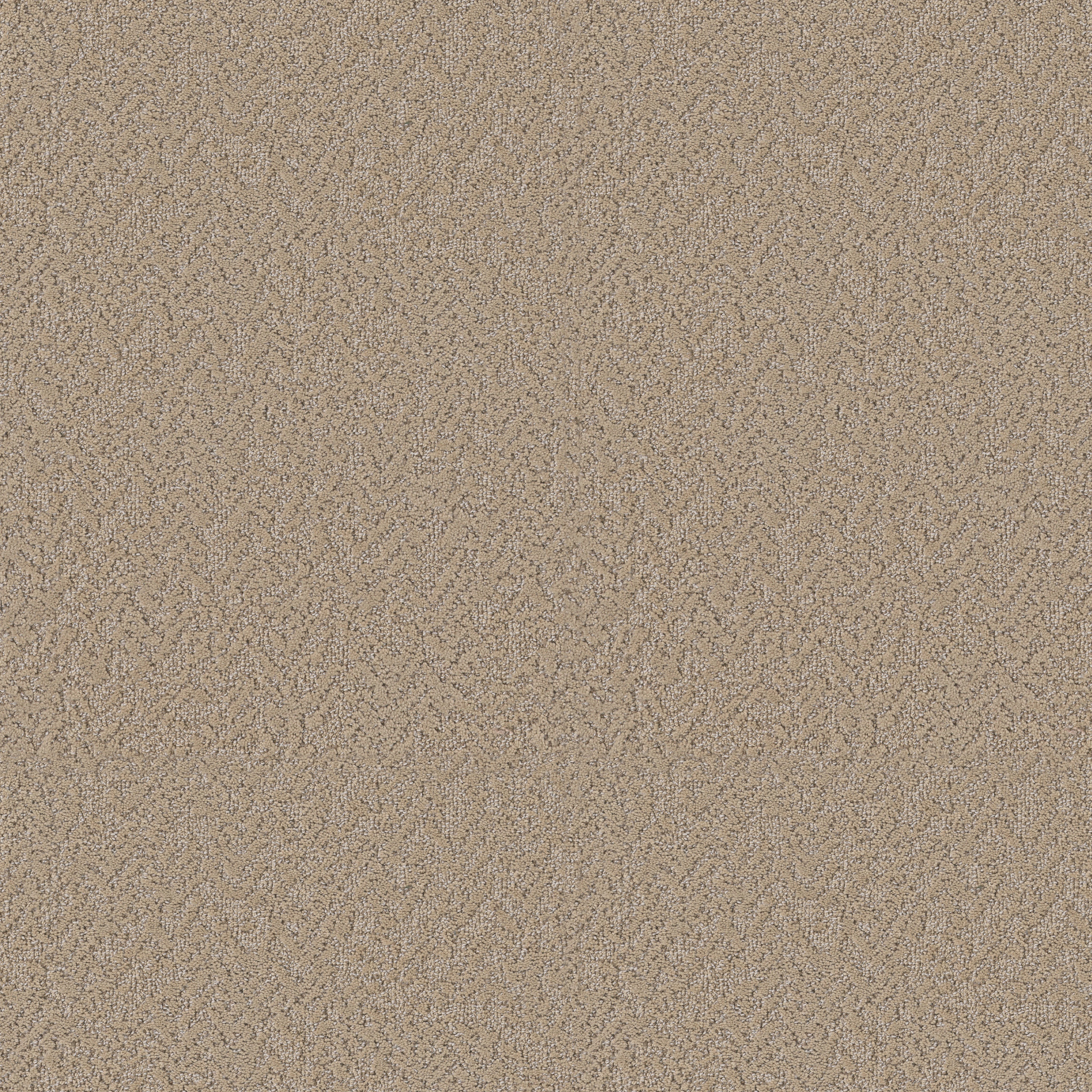 JOYFUL SPIRIT SAND CASTLE MAIN