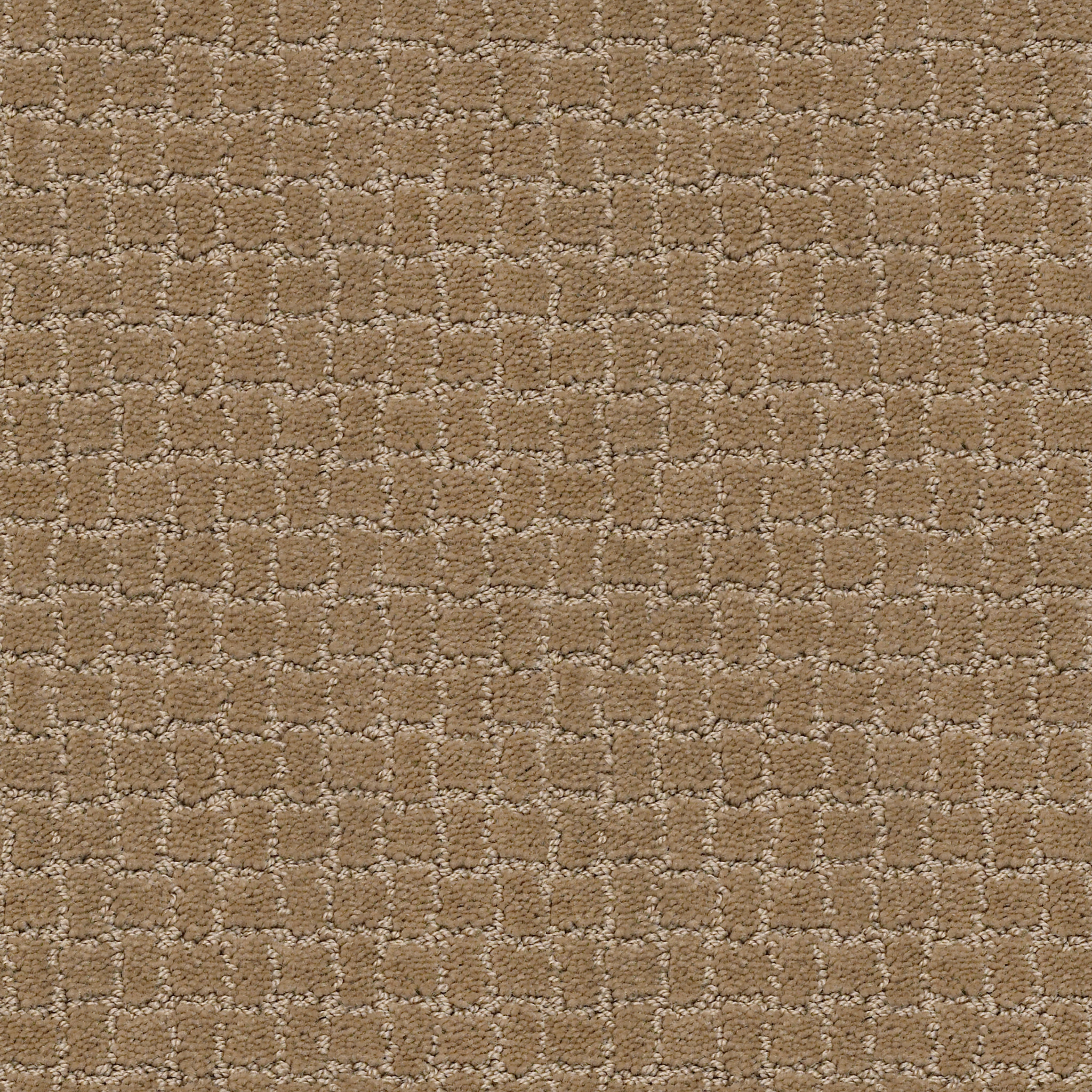 PAWSTRUCK PEANUT SHELL MAIN