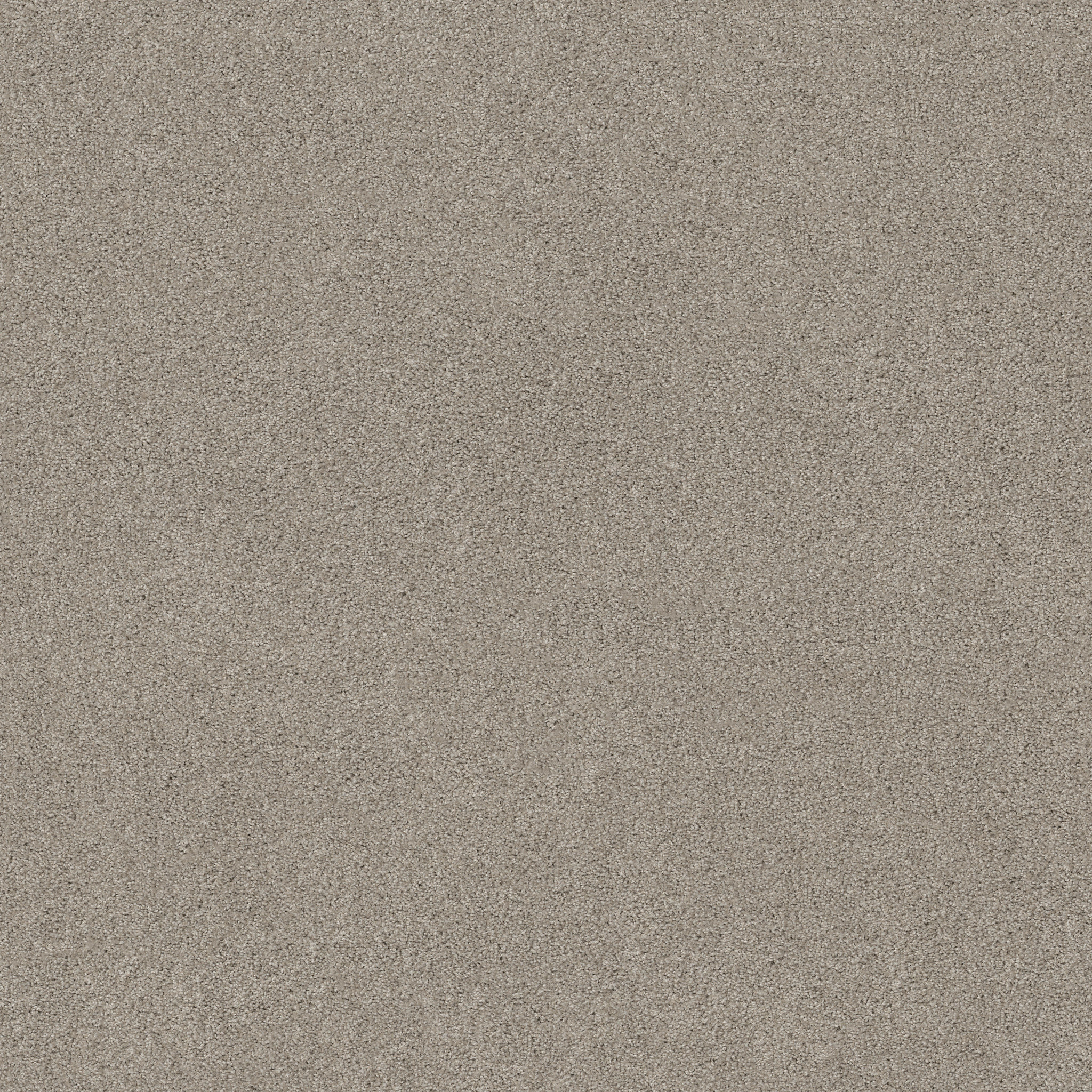 SWEET INSPIRATION I FROSTED ICE MAIN