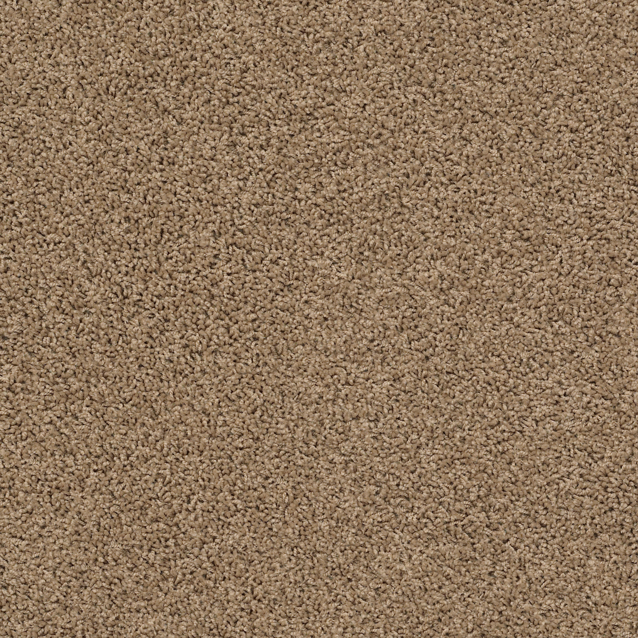 DEL MORRO ROCKY RIDGE MAIN