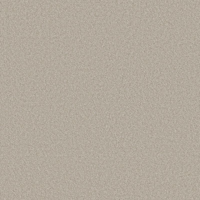 Harmonious II 5E437 Broadloom Carpet in Heirloom color, 12ft width, 100% Nylon material