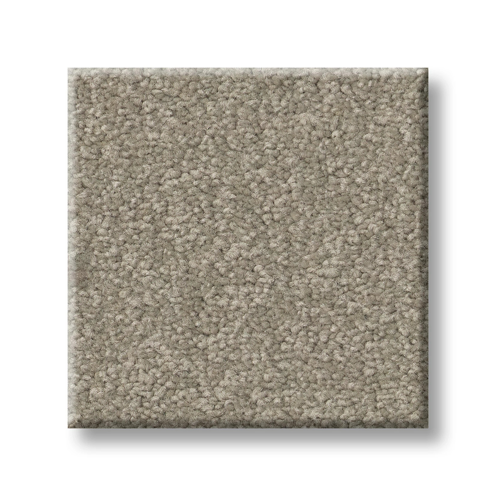 TIMELESS APPEAL III 12' LONDON FOG SWATCH