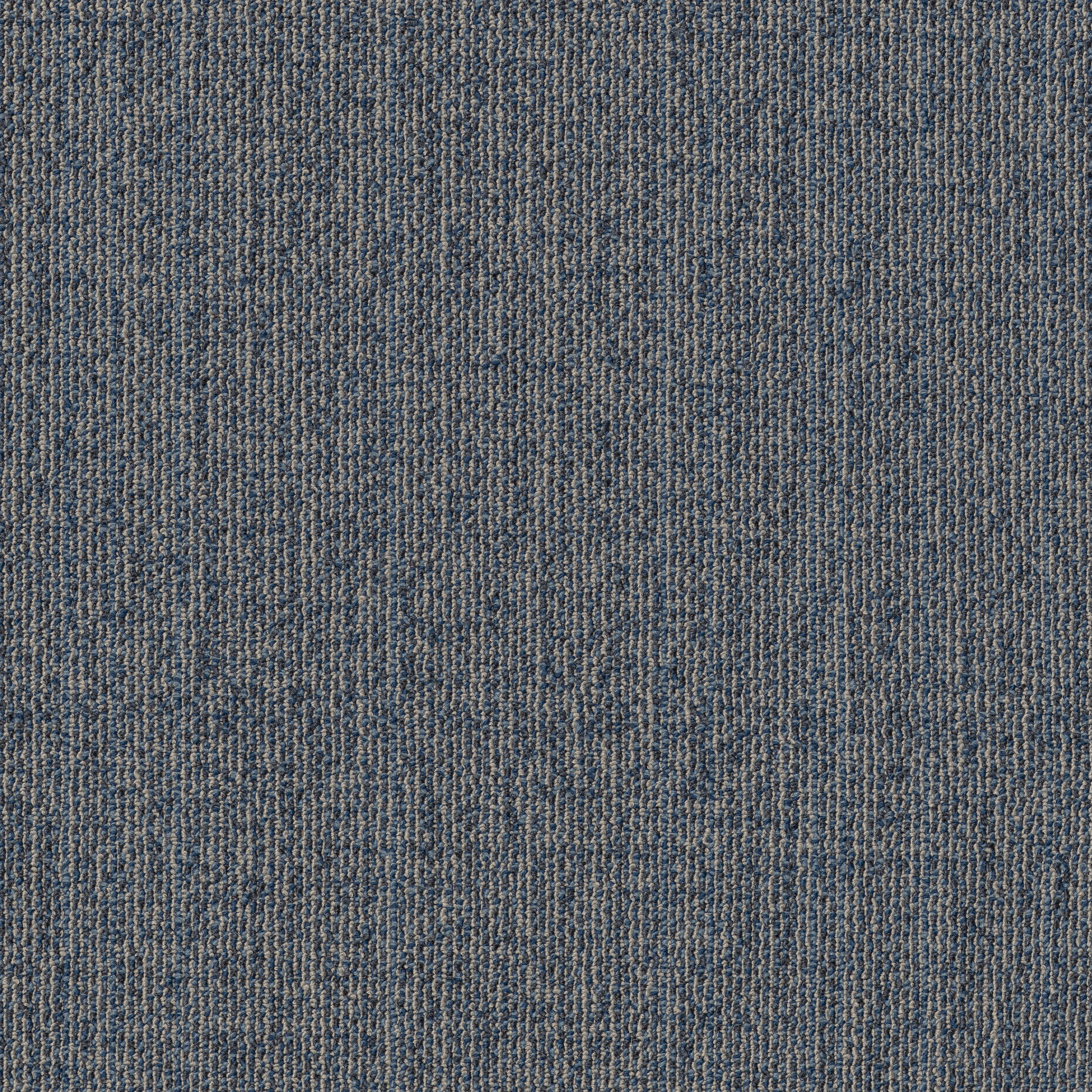 MUTED-RHYTHMS-TL-55013-LARKSPUR-00406-main-image