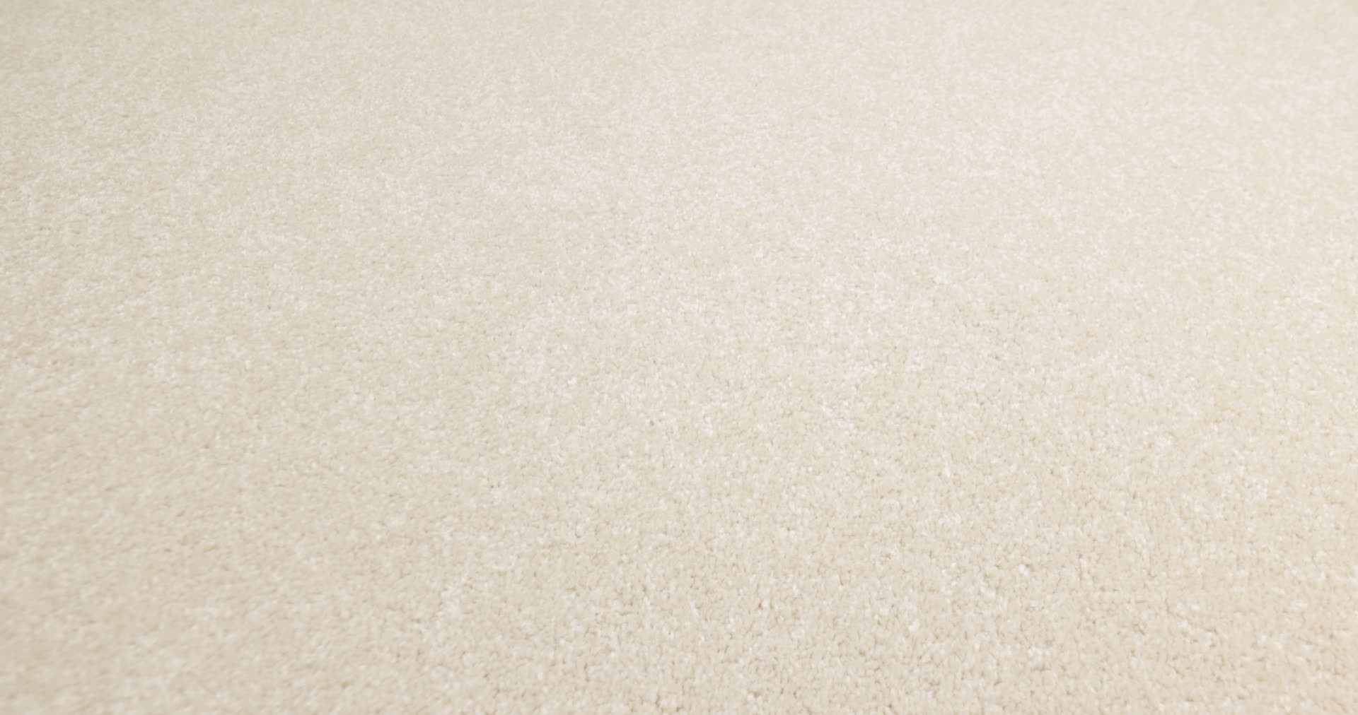 SANDY HOLLOW CLASSIC II 12 MUSHROOM 360PROD