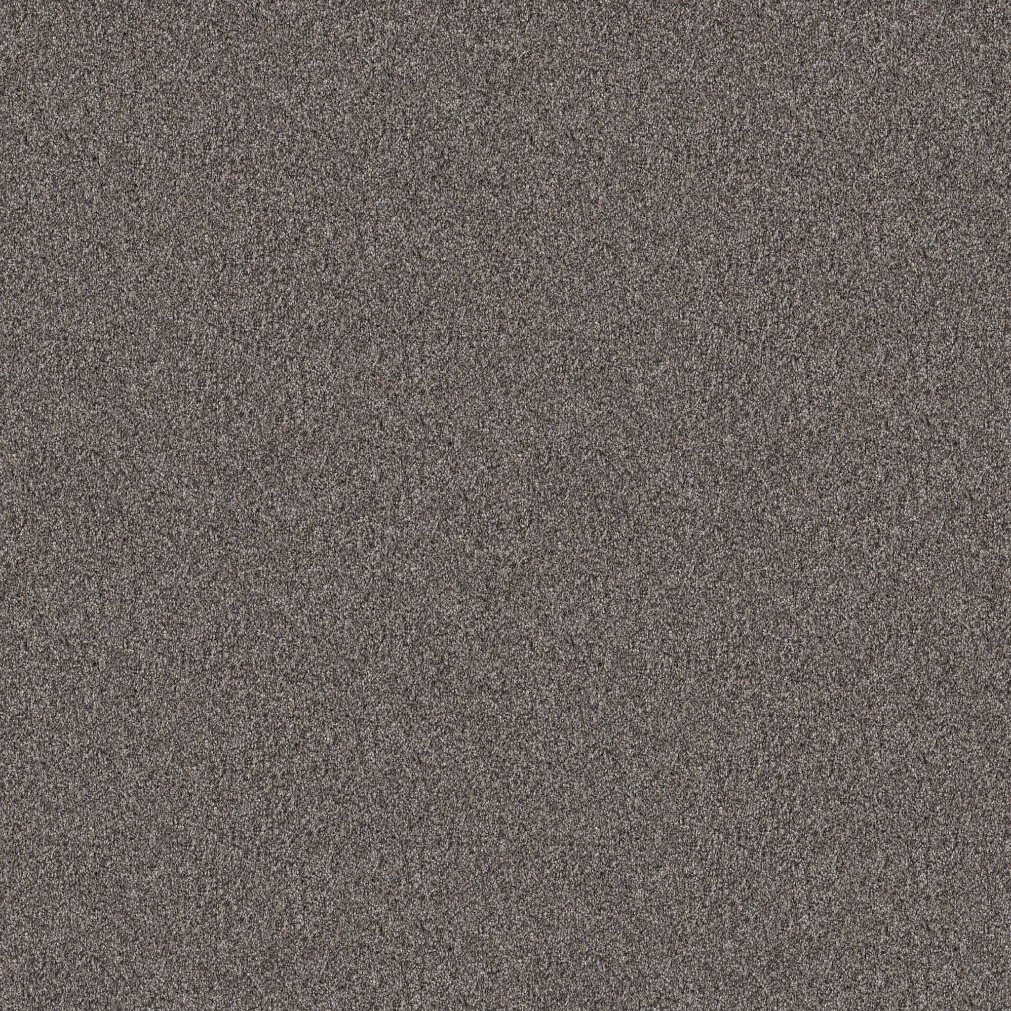 INFLUENCER DESERT VIEW MAIN