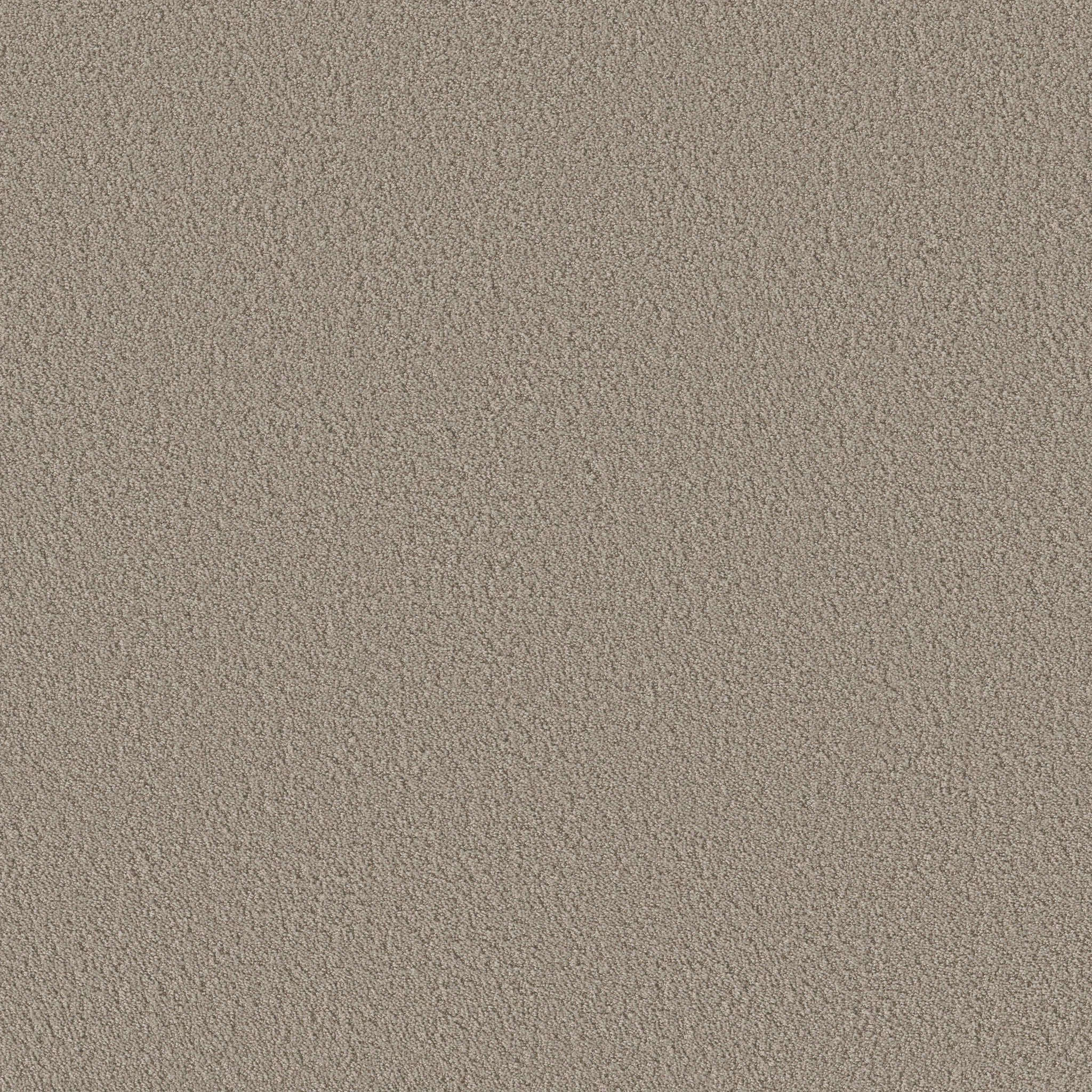 AERIAL VIEW ARTISAN TAUPE MAIN